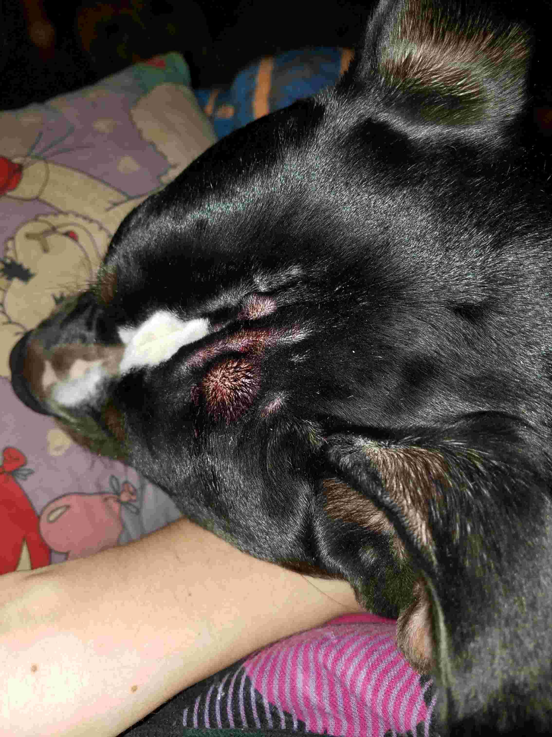 Question details sensitive content