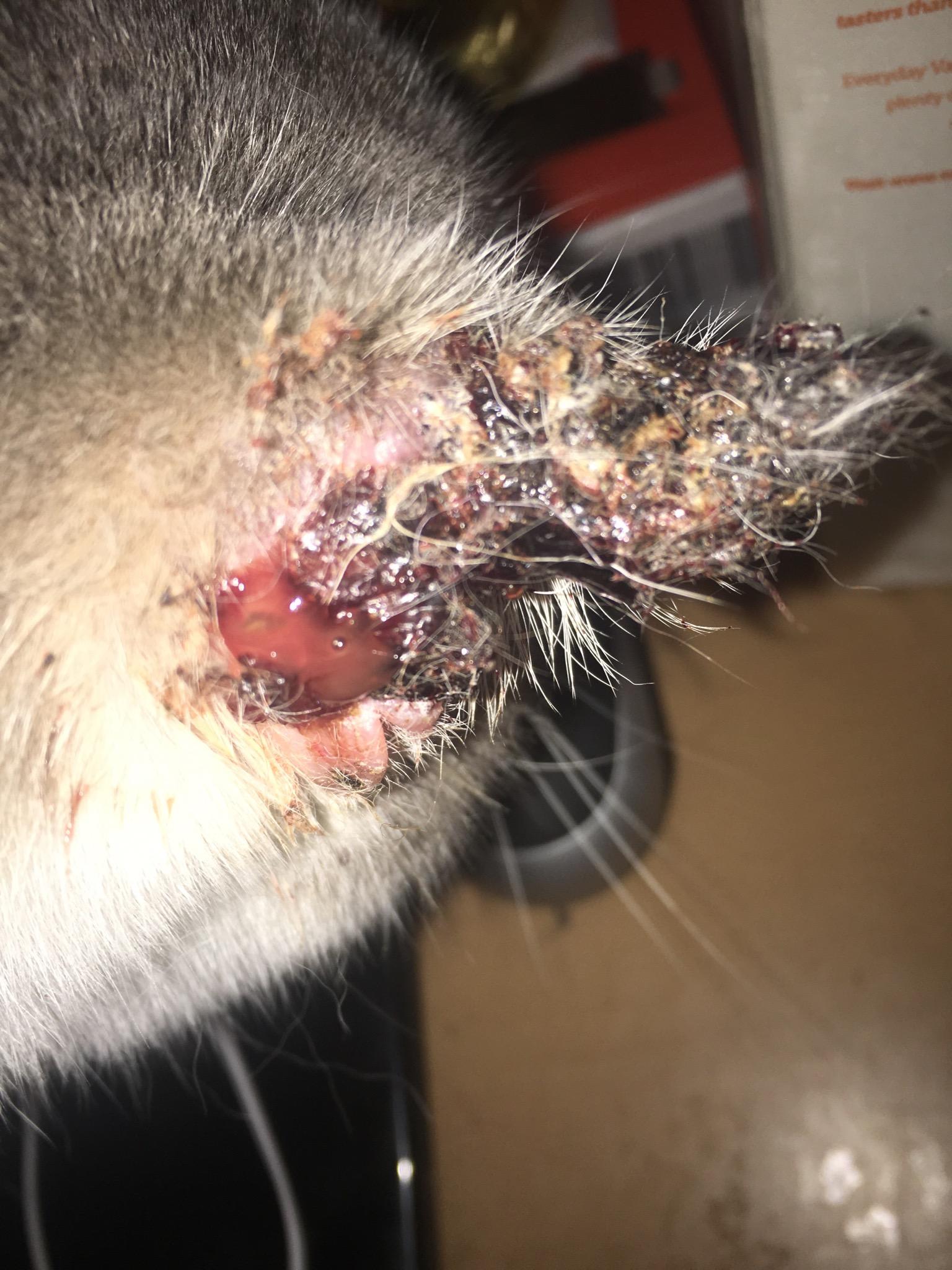 Question details sensitive content