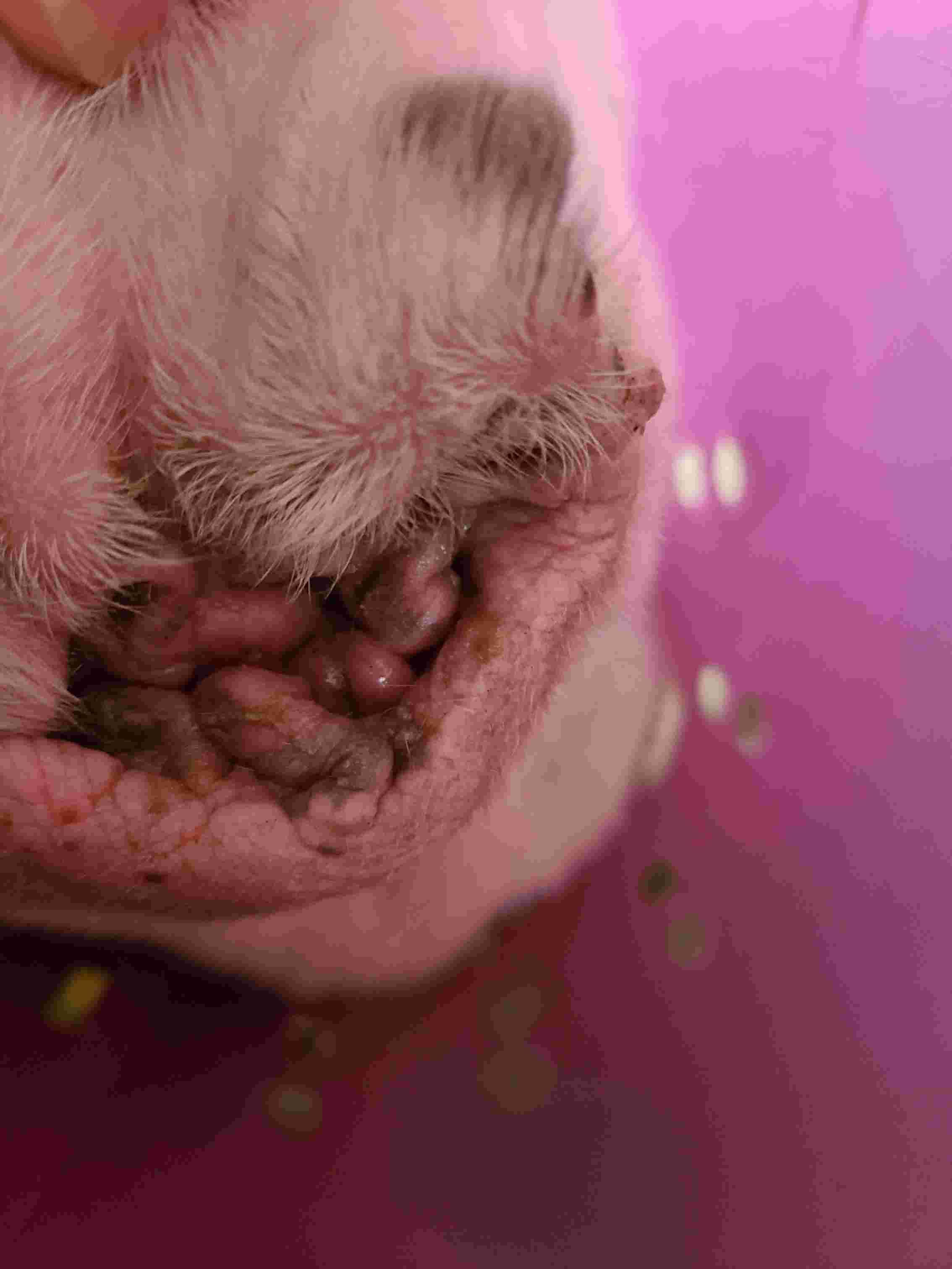 Question details sensitive content