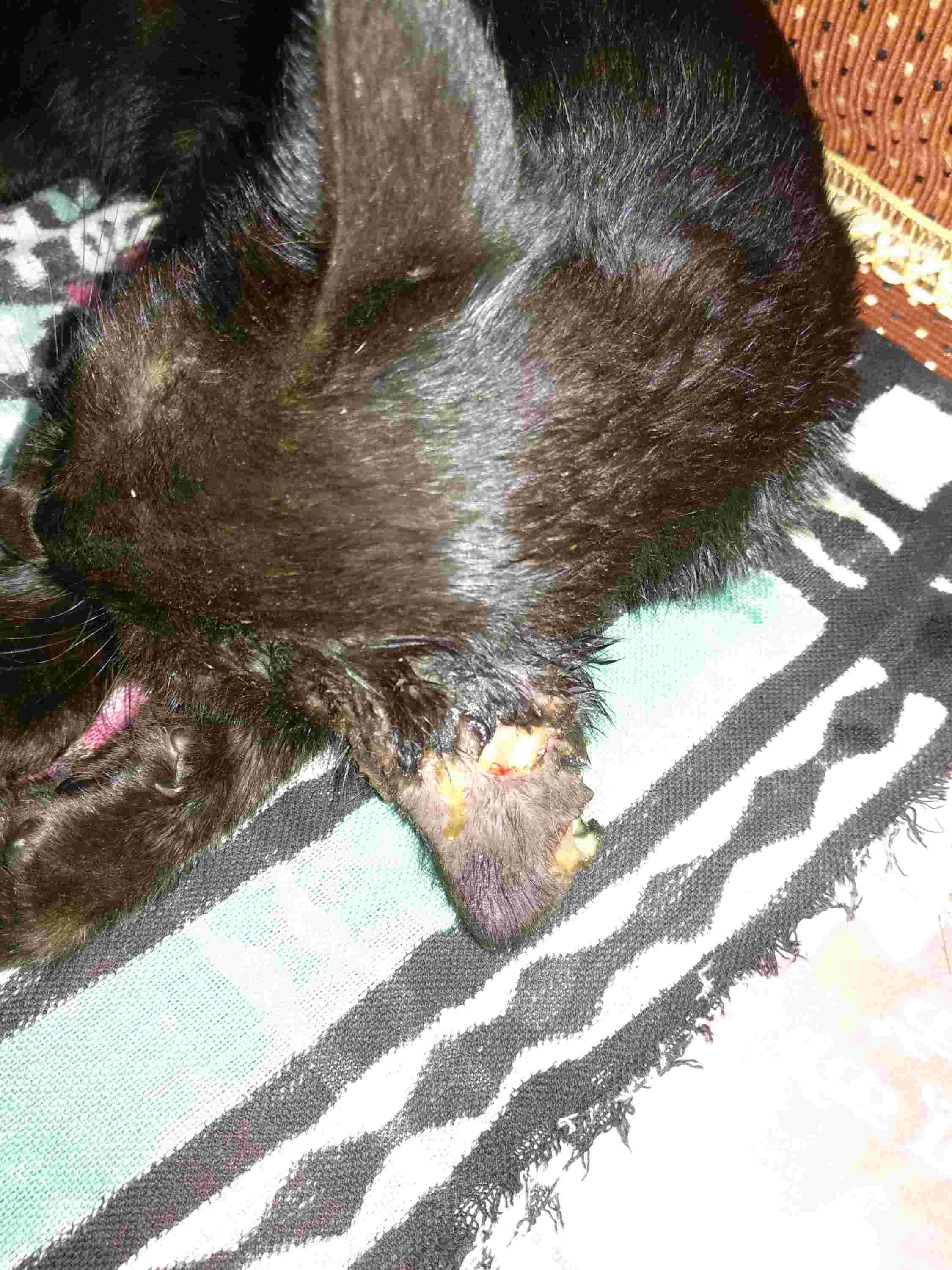 Question details sensitive content