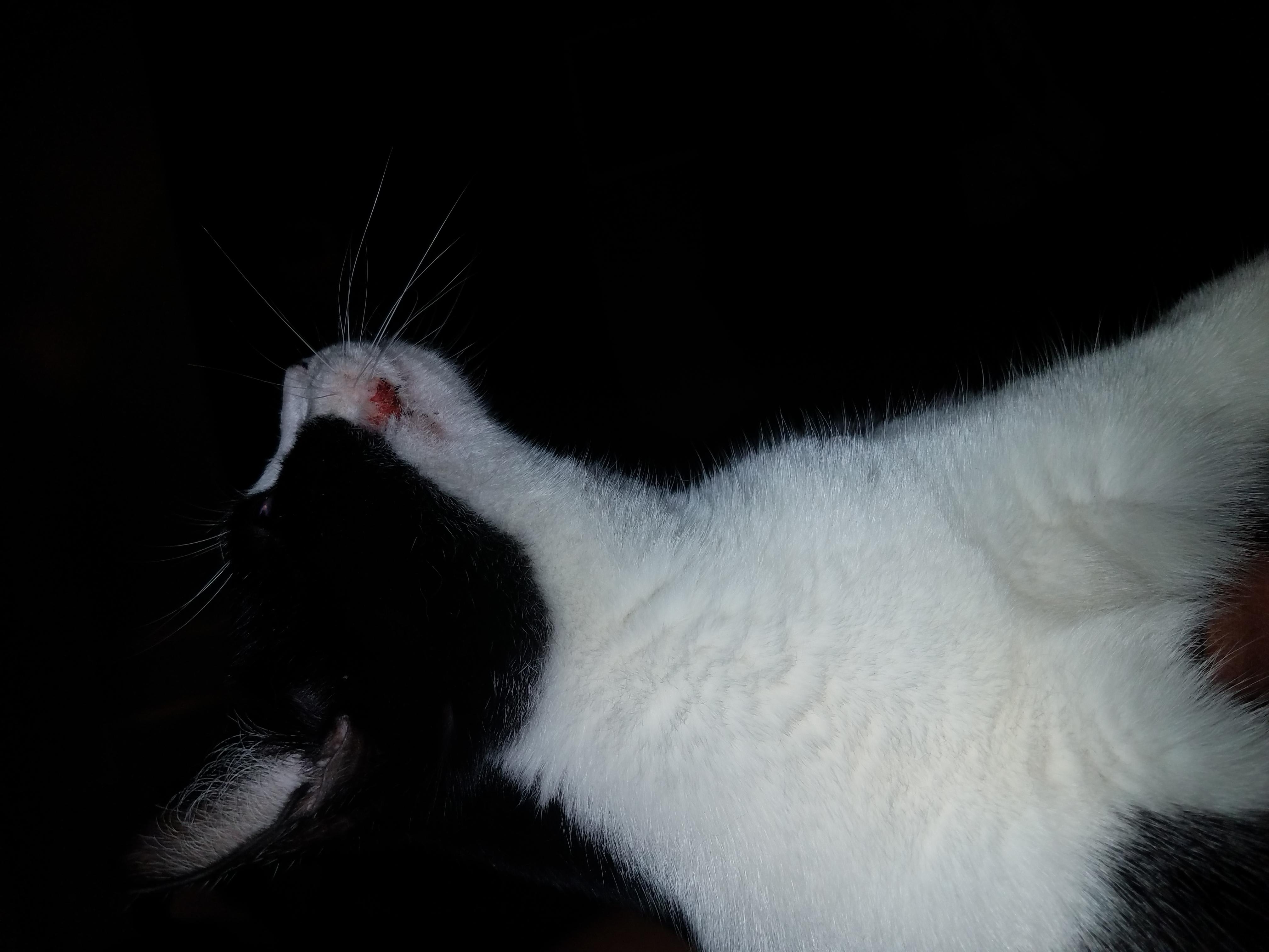 Question details sensitive content