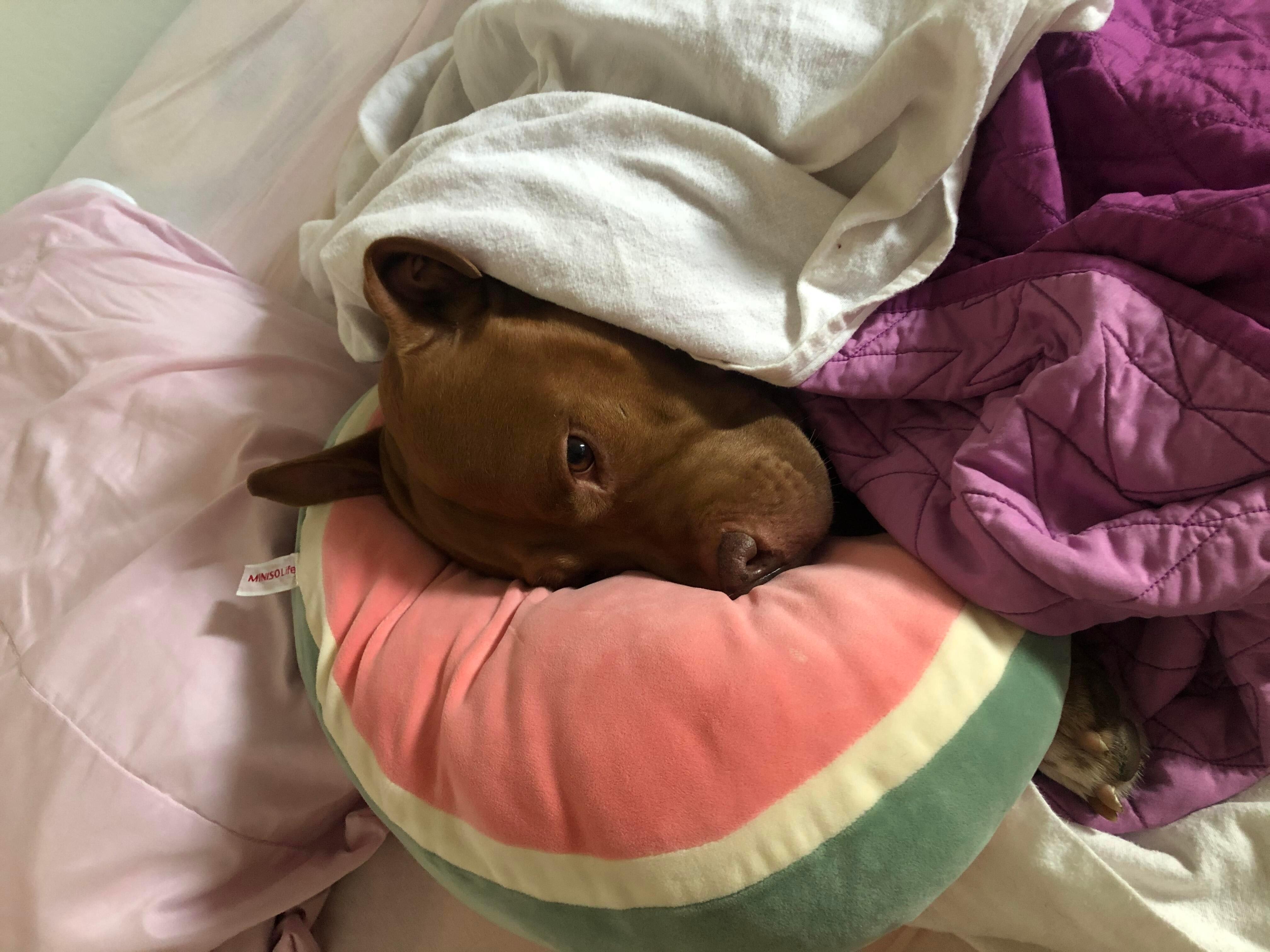 Question details sensitive content