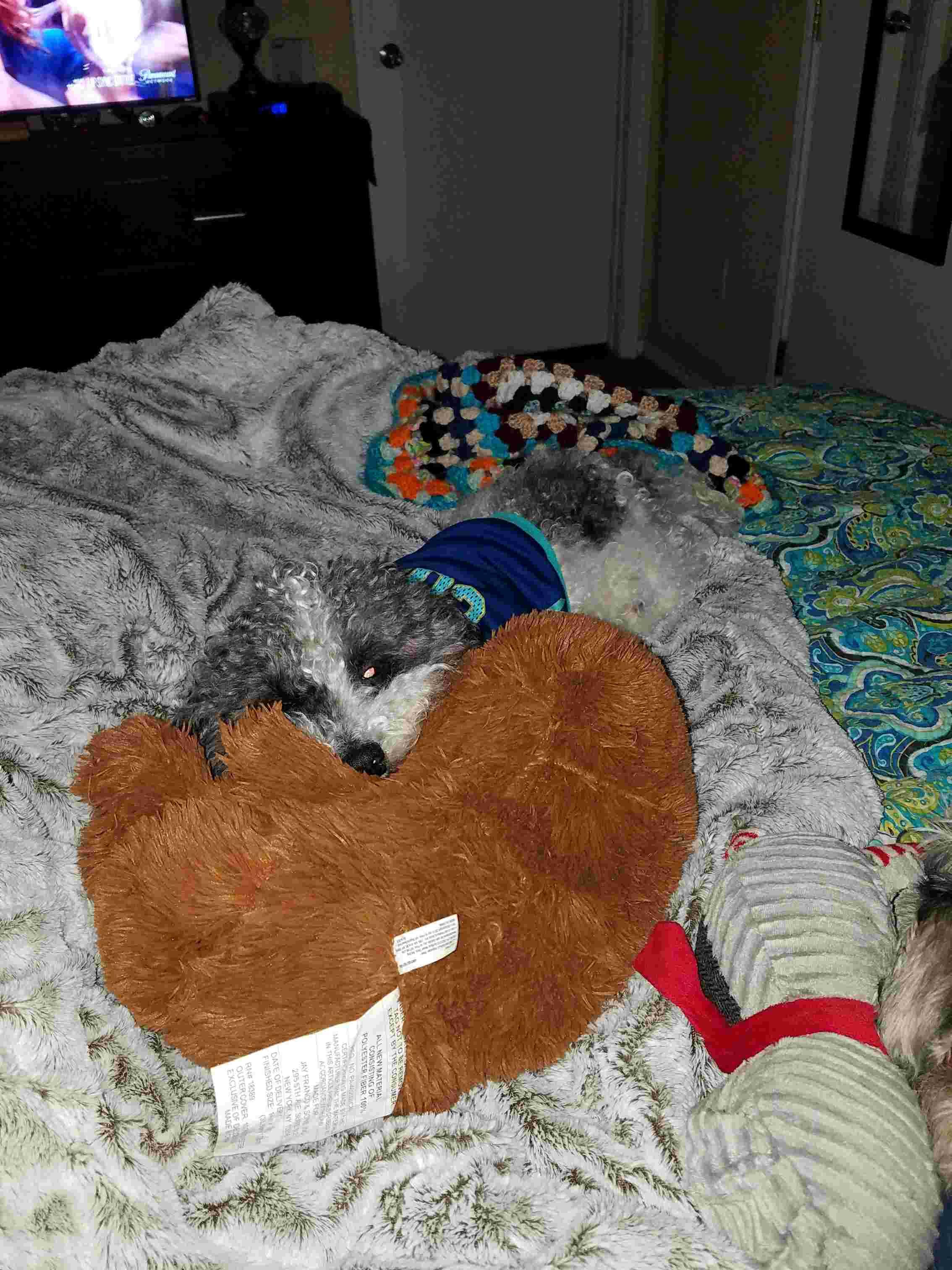 Question details sensitive content