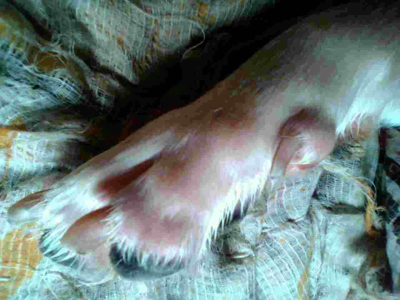 Question details sensitive content