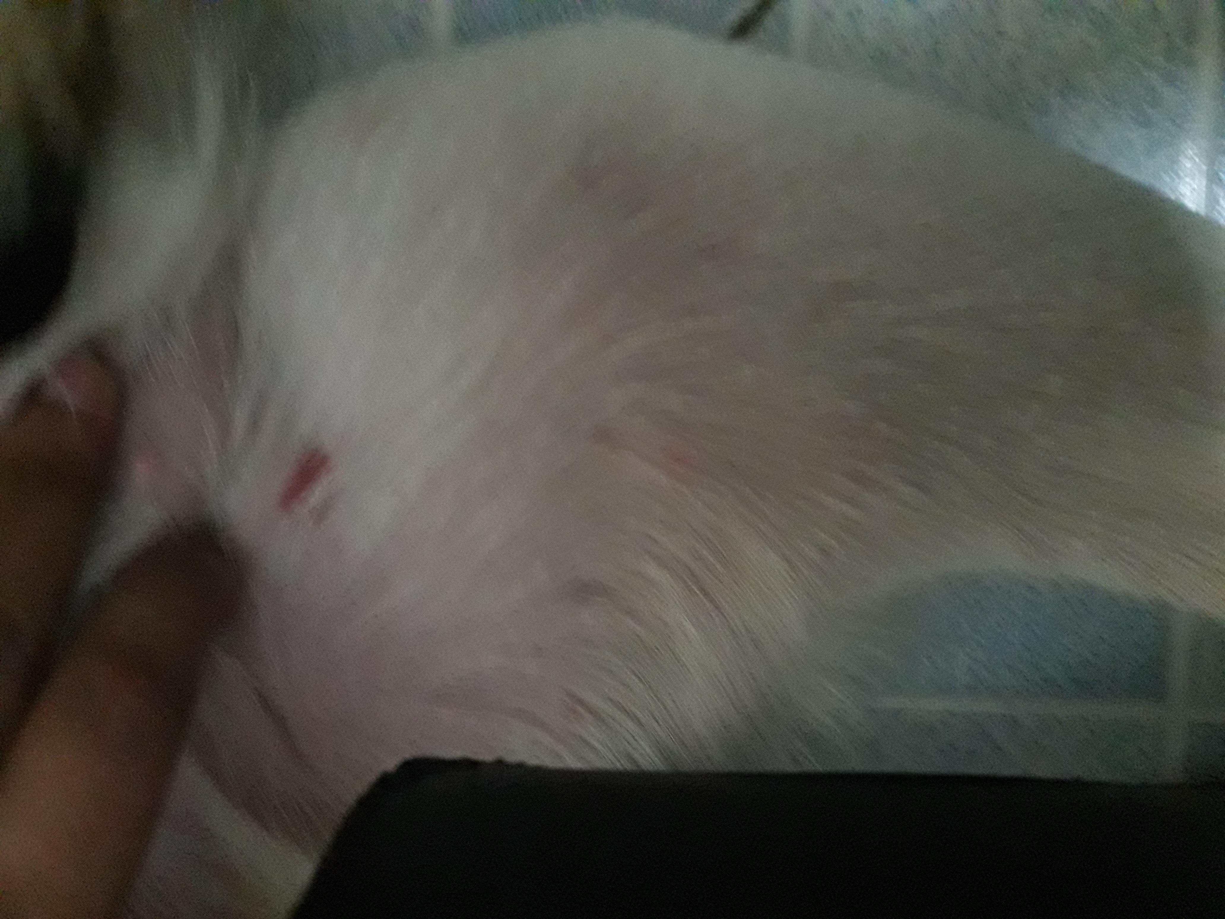 Question details sensitive content