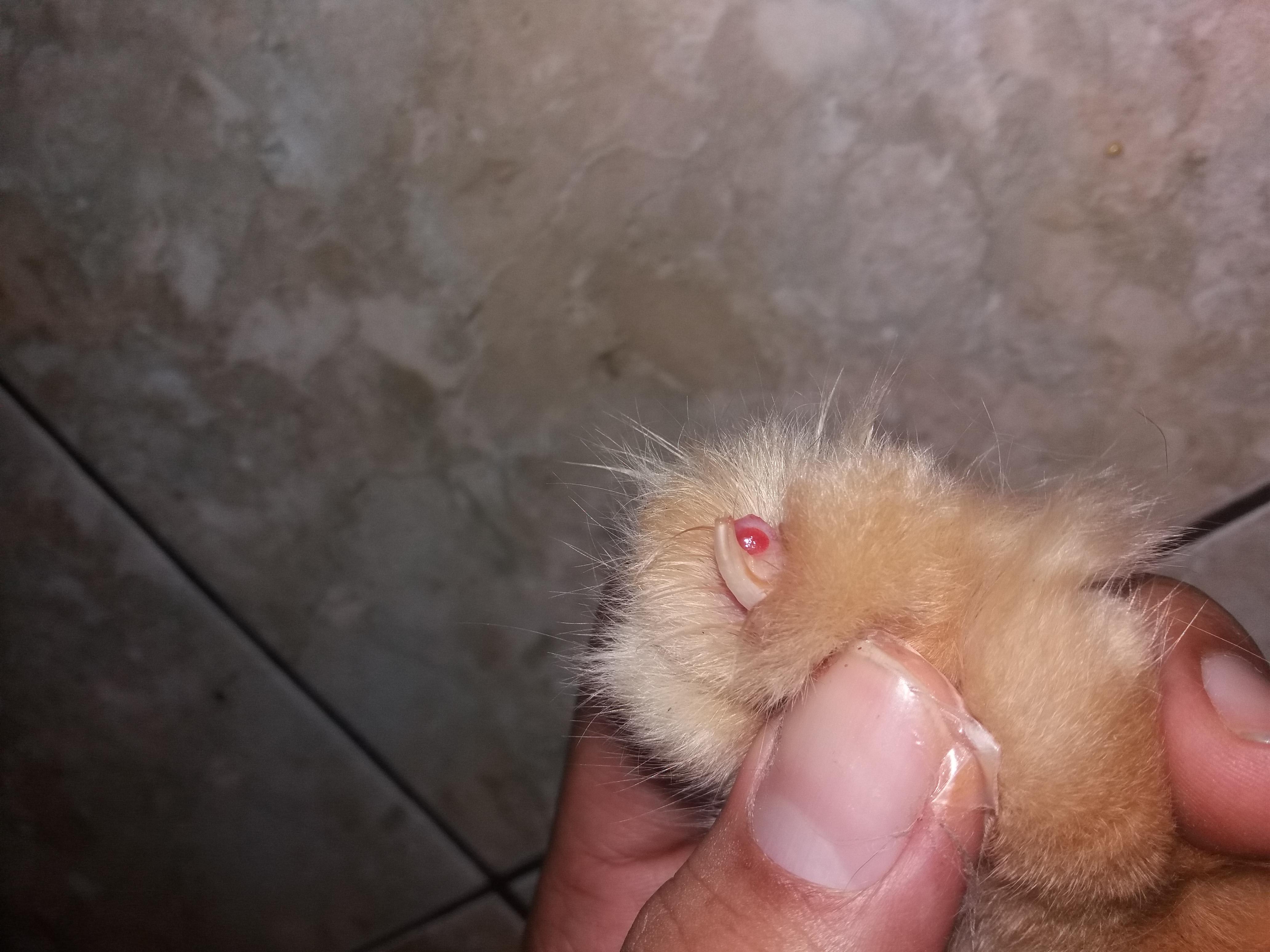 Question details sensitive content