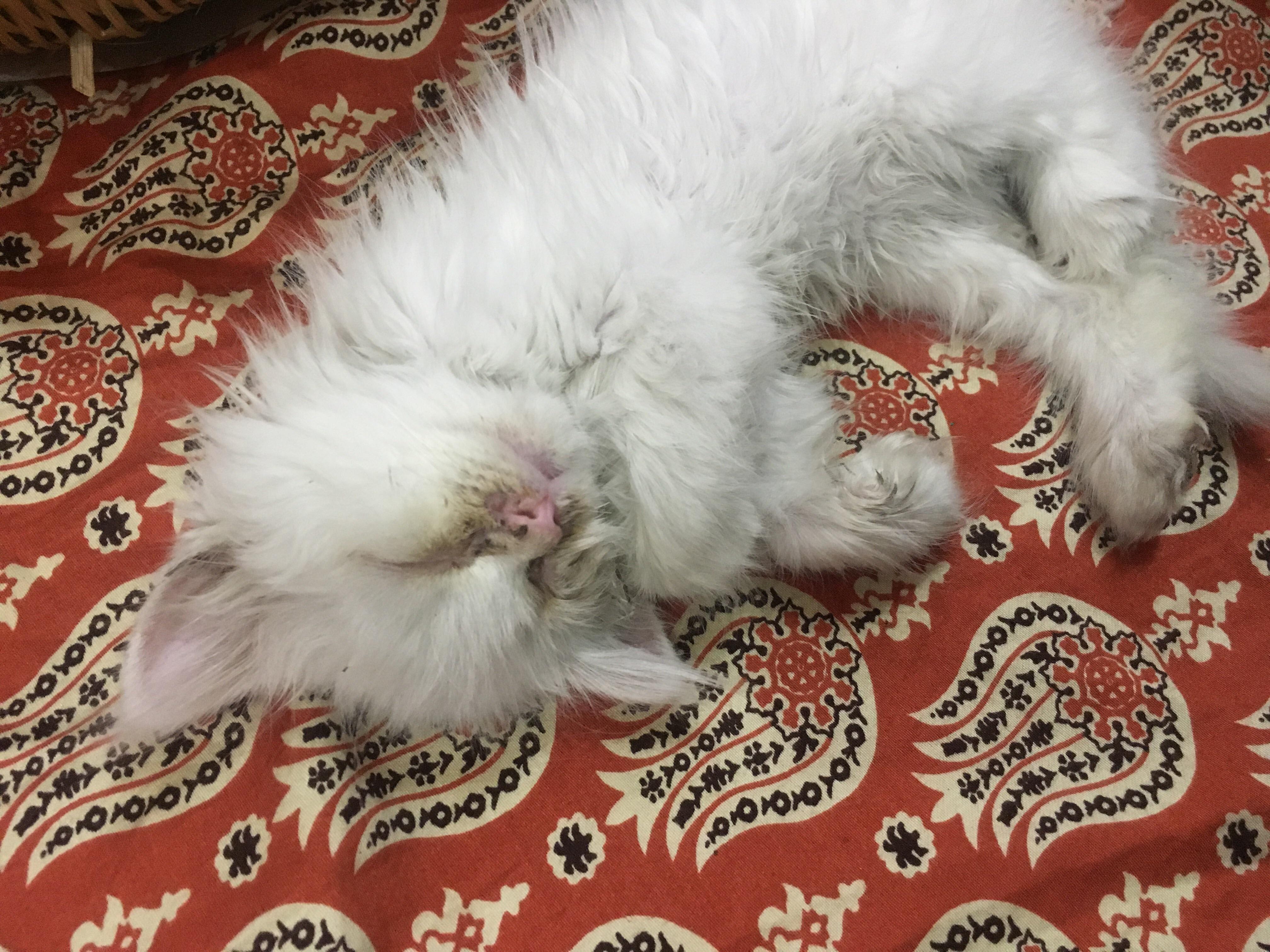 Question details sensitive content