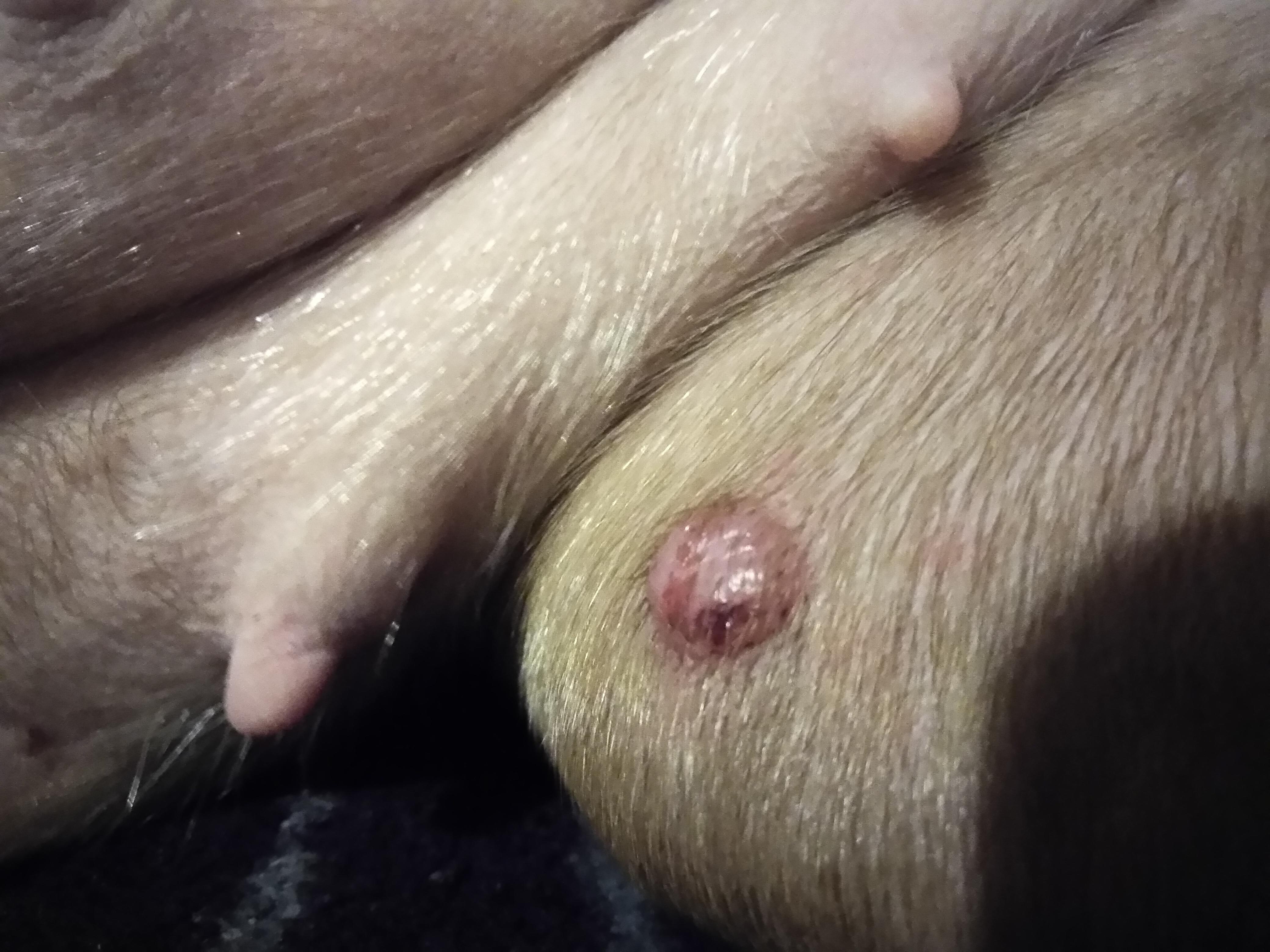 Question details sensitive content