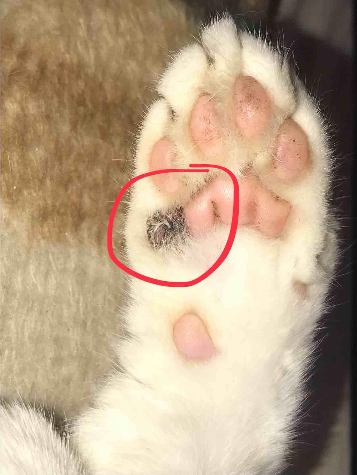 Question details sensitive content