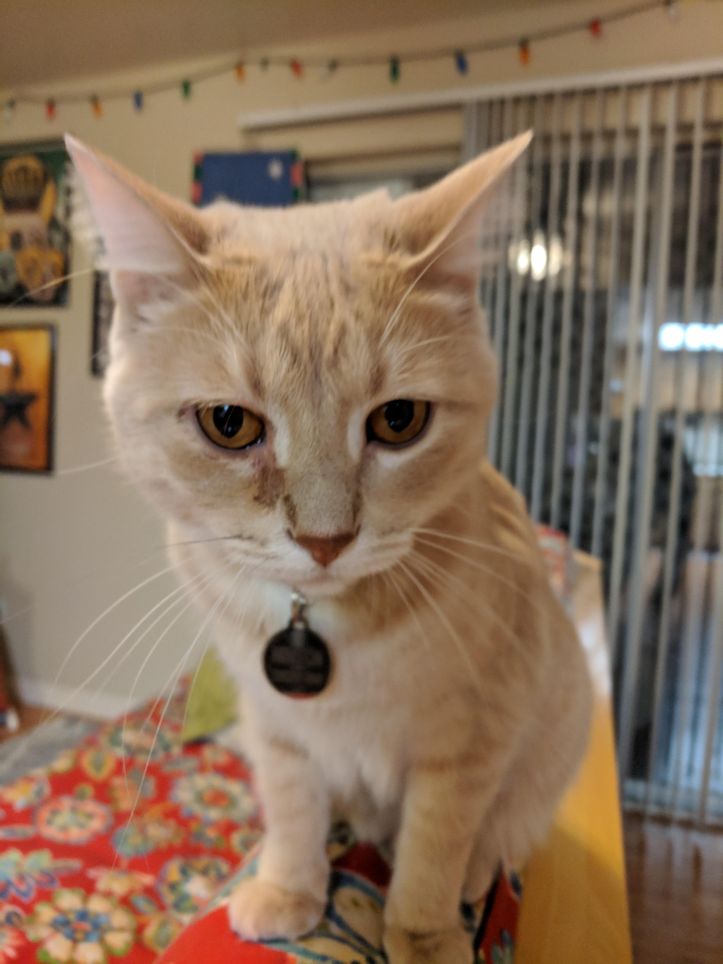 Question details sensitive content