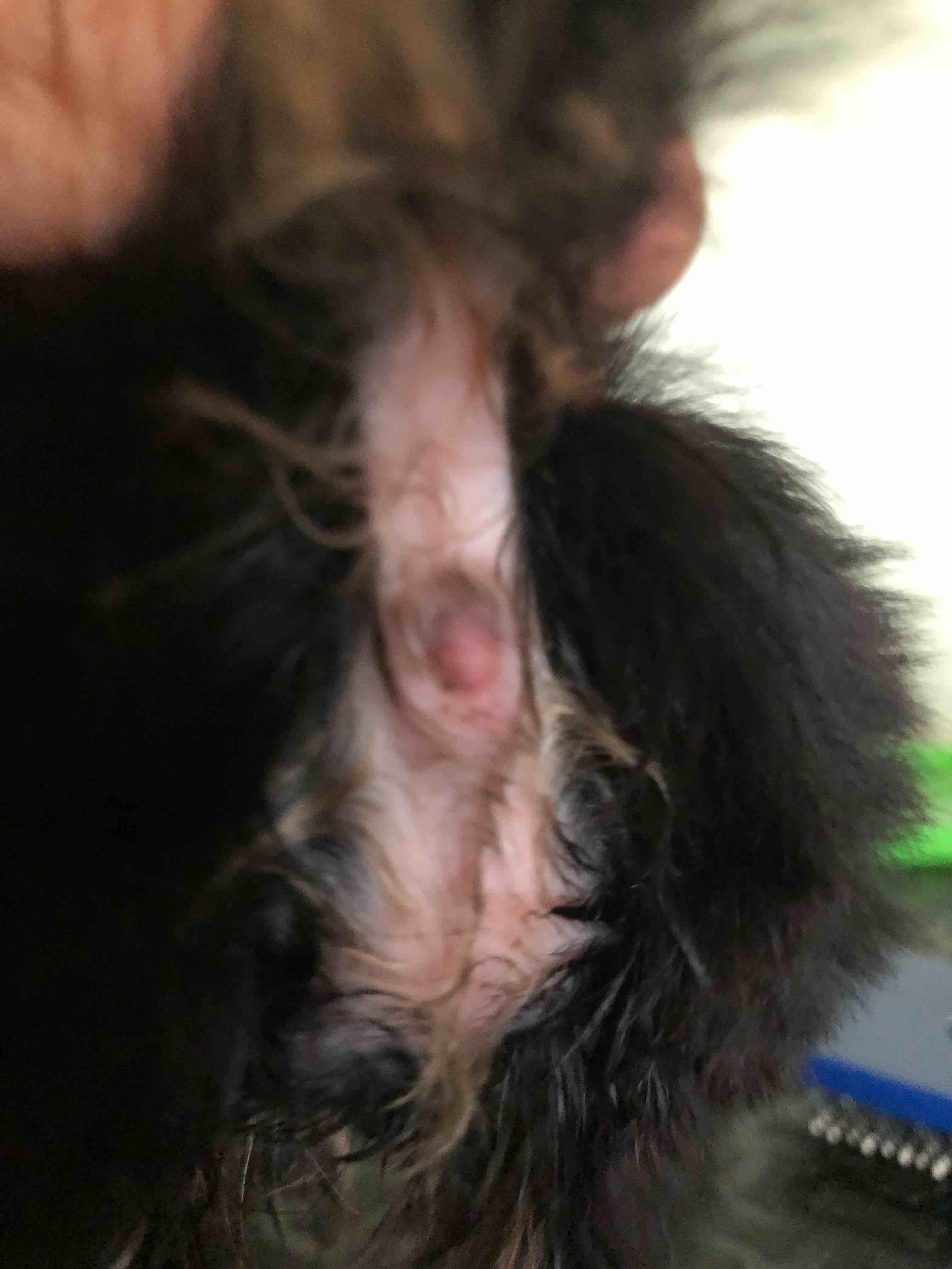 Question details sensitive content