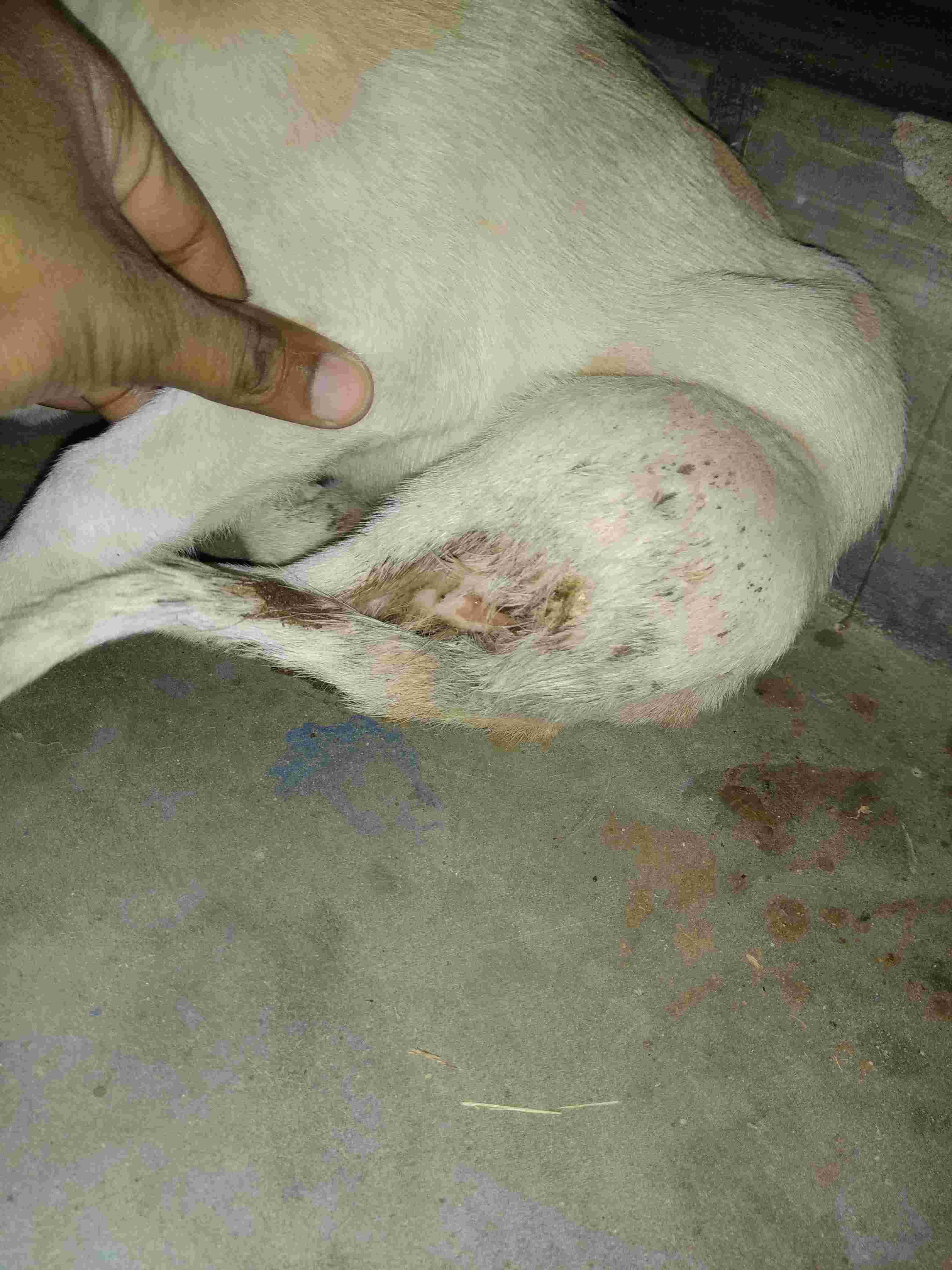 Question details sensitive content