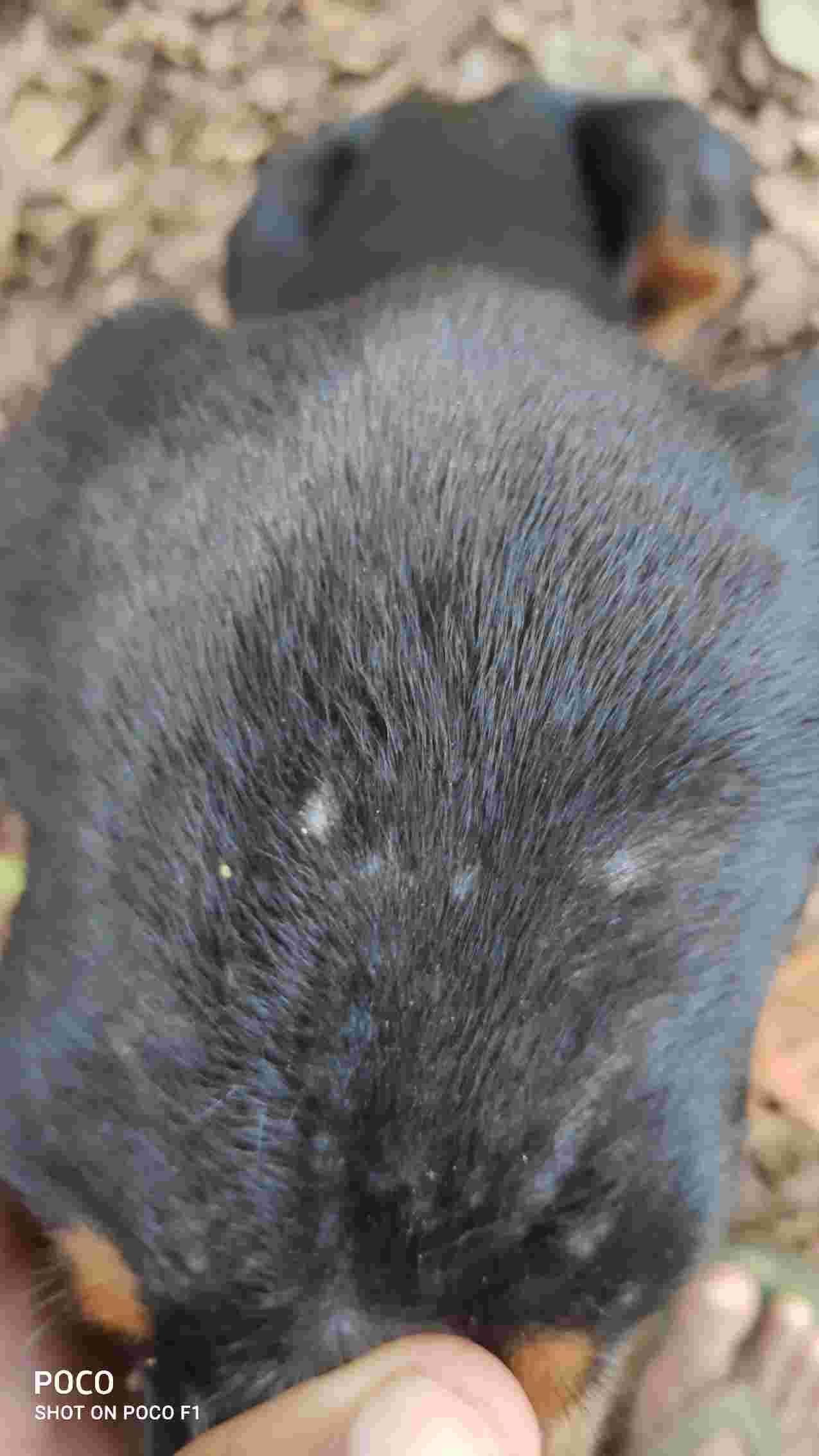 Question details sensitive content