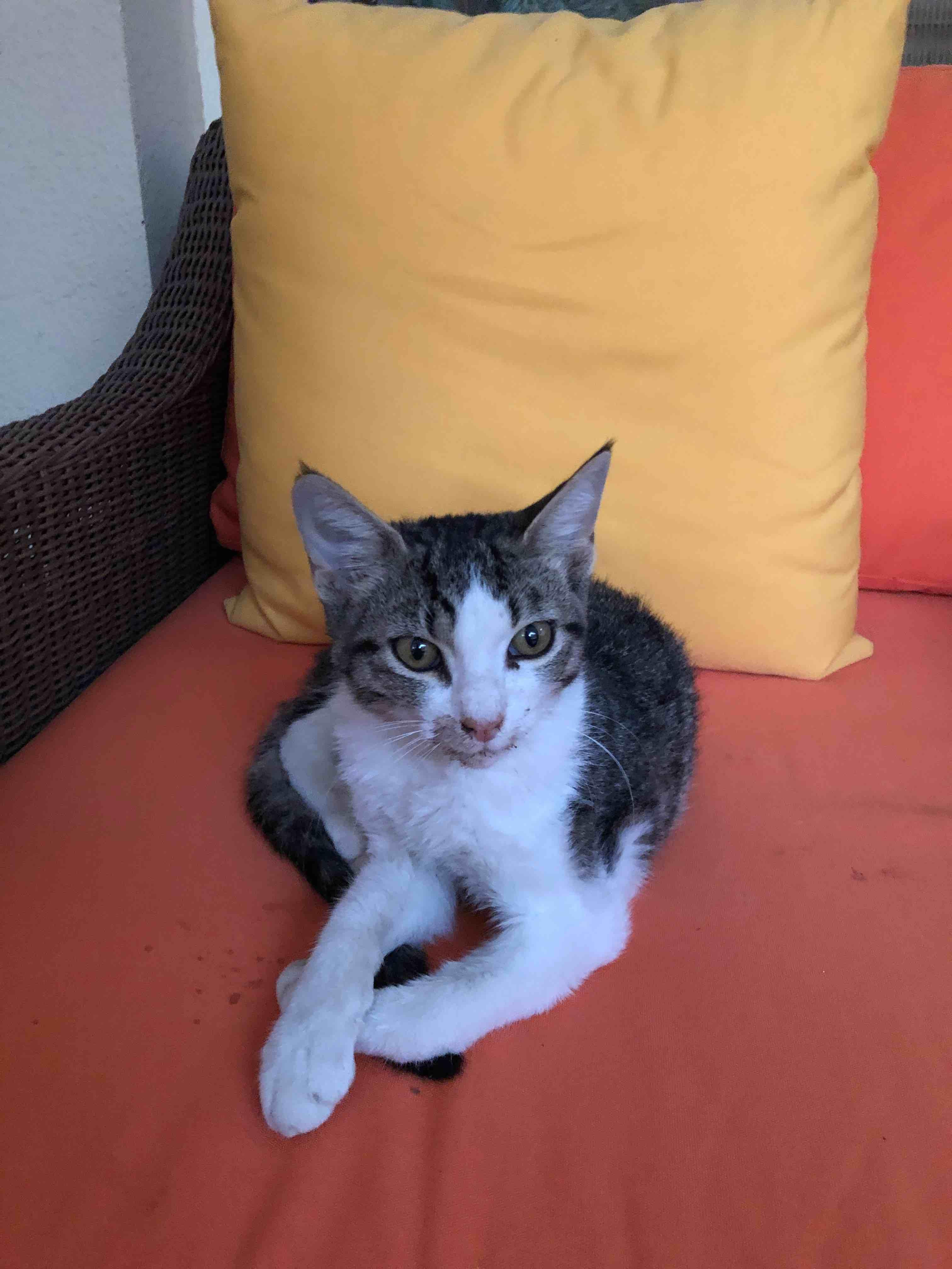 Question details sensitive content