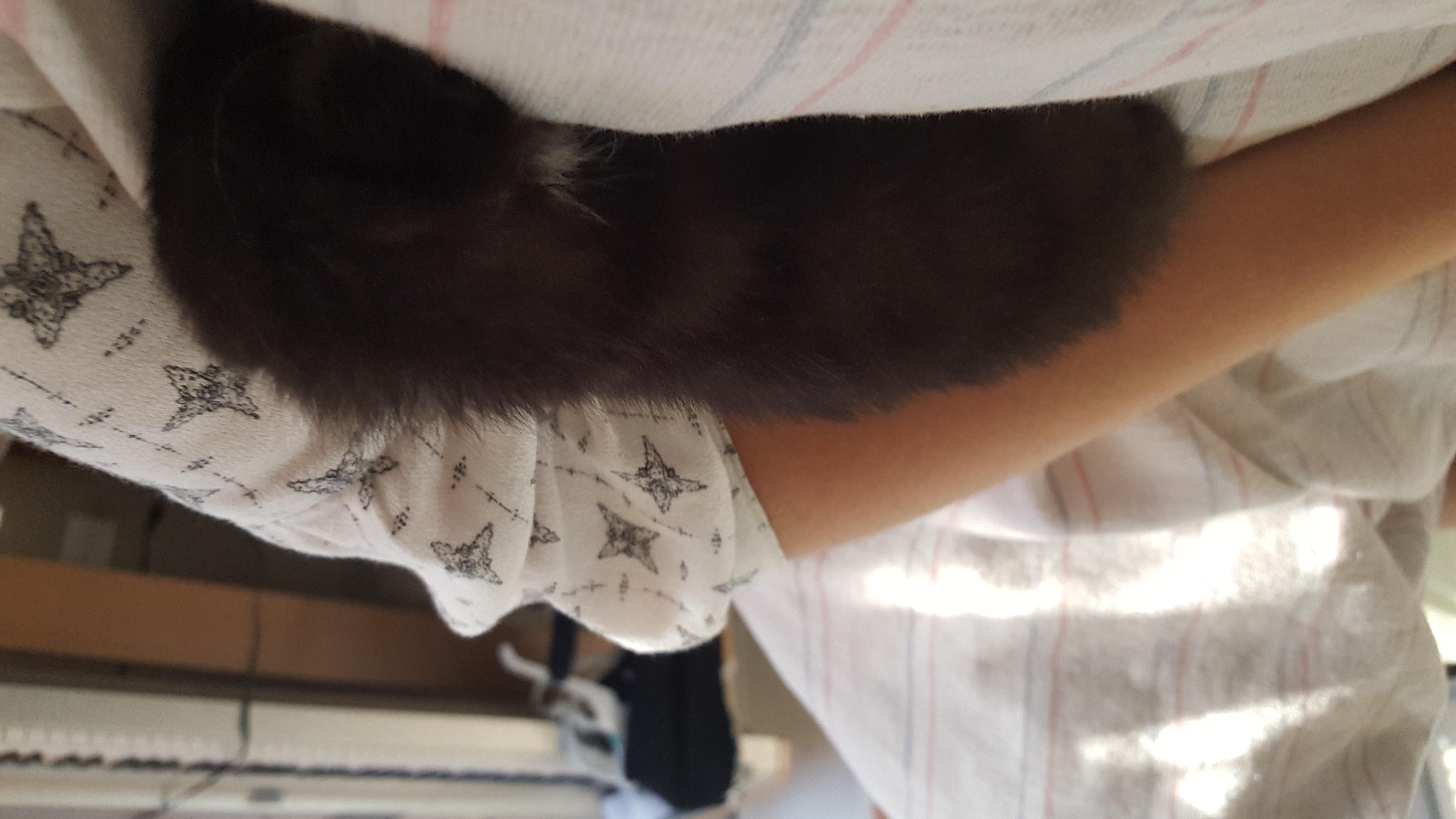 Question details sensitive content