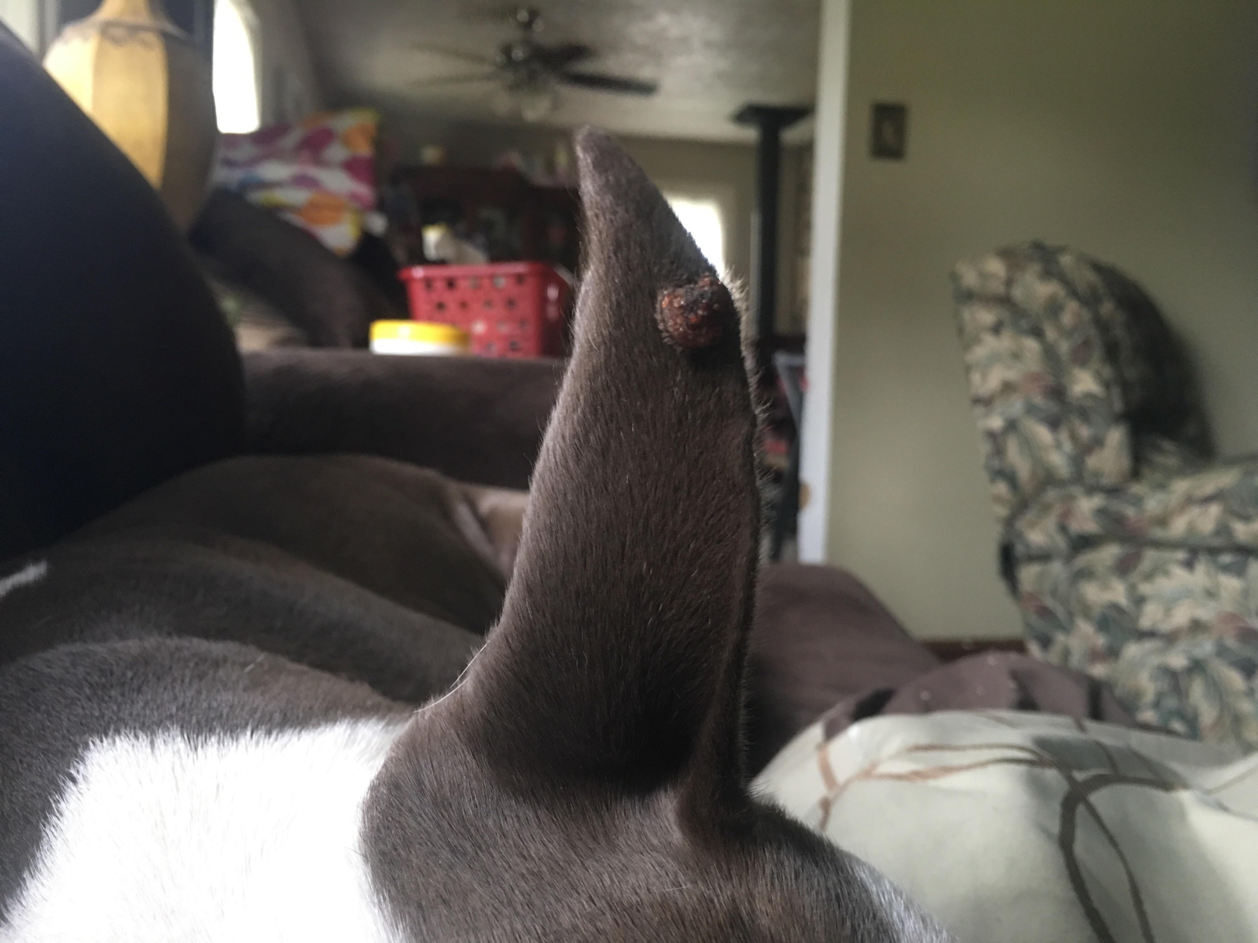 Question details sensitive content