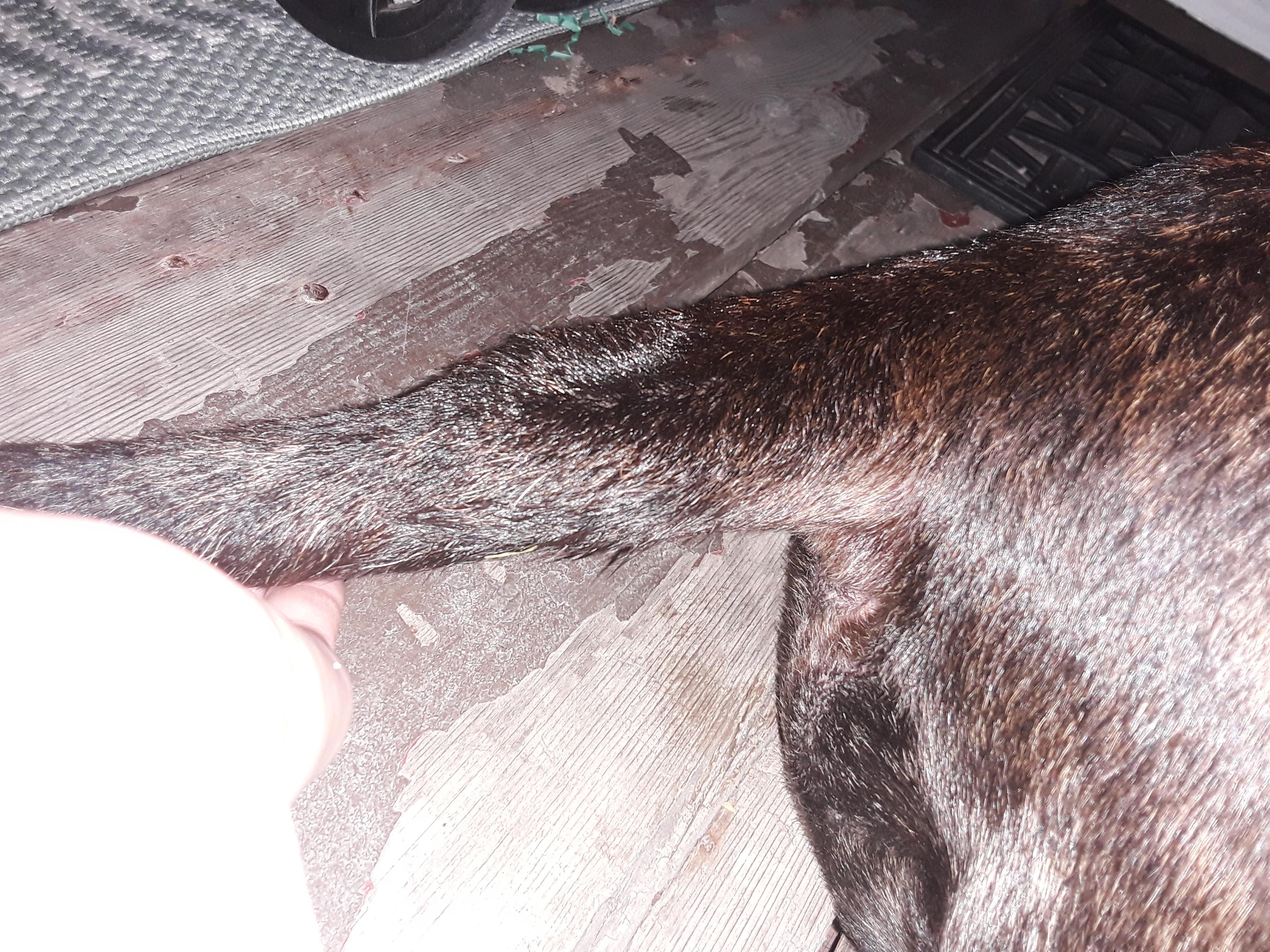 Question details sensitive content