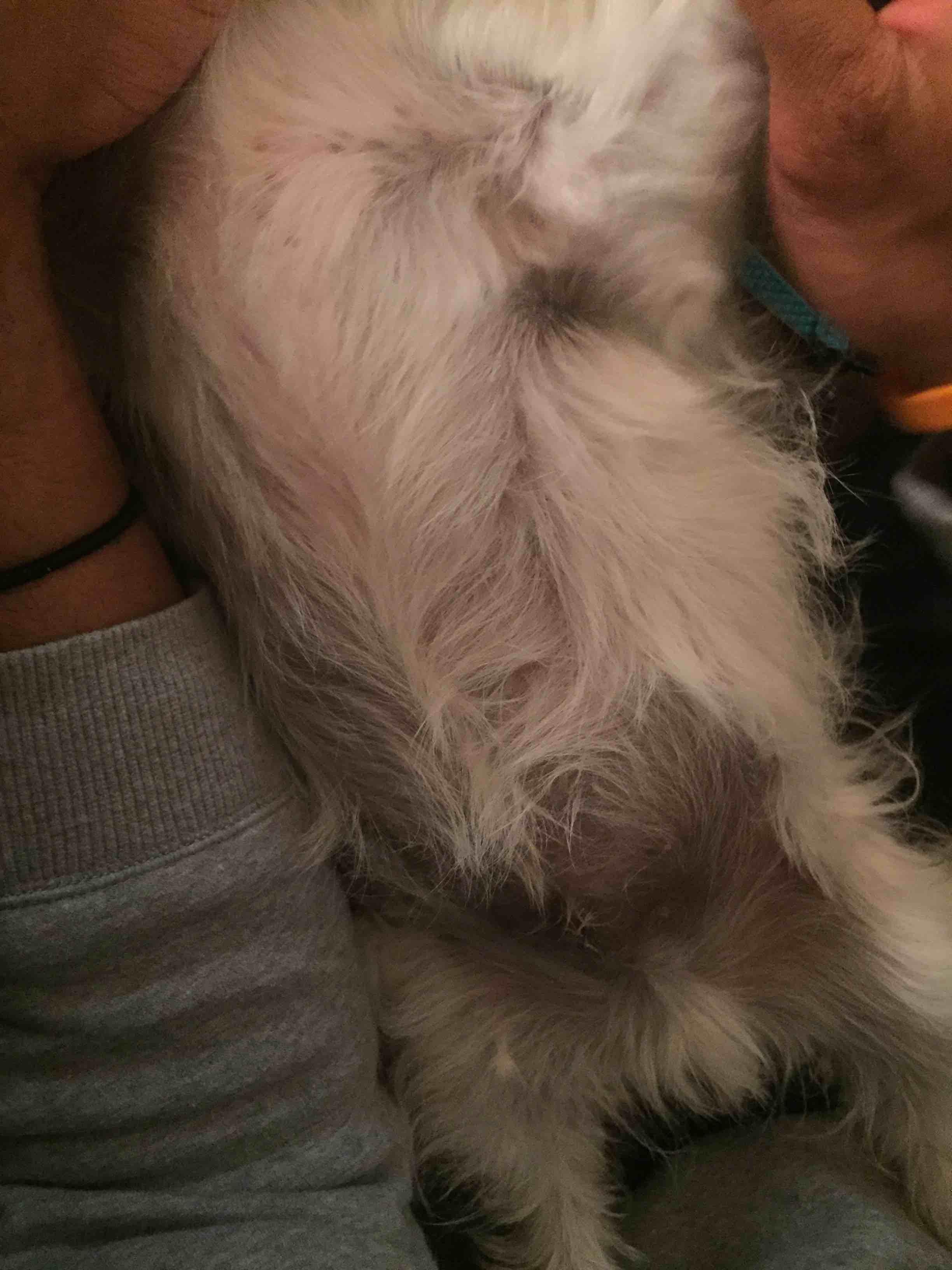 Question details sensitive content