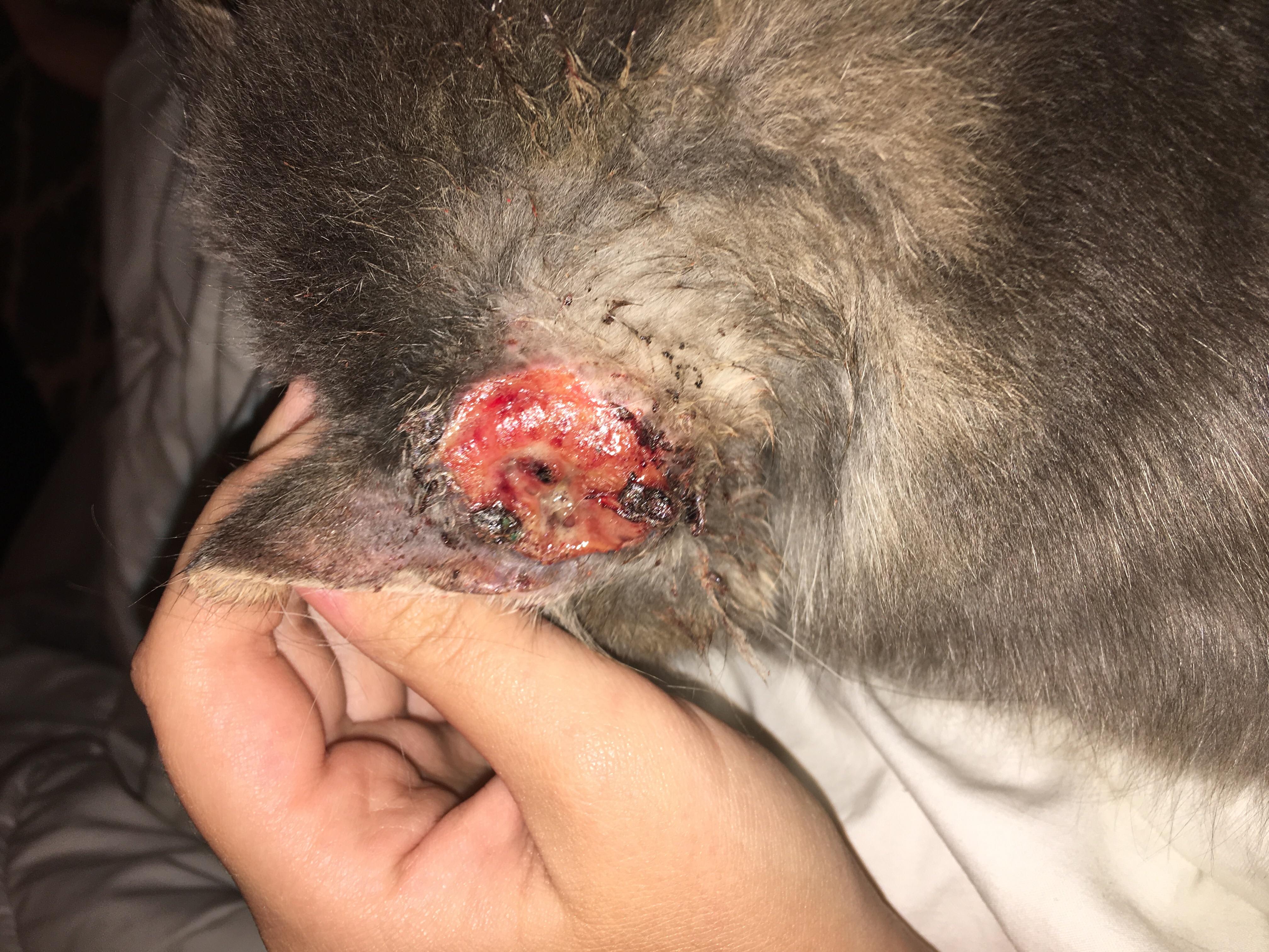 Question details sensitive content