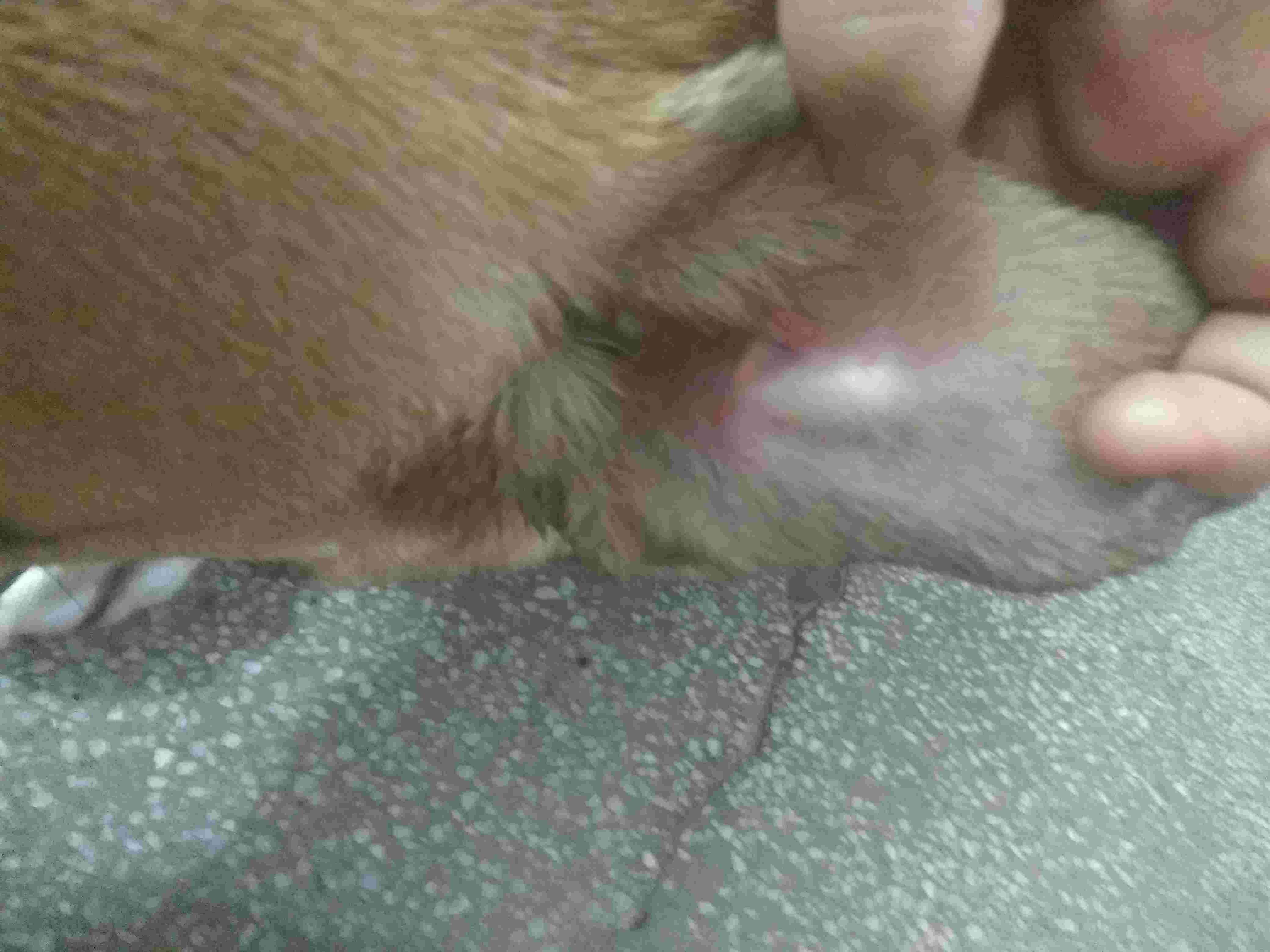 Question details sensitive content