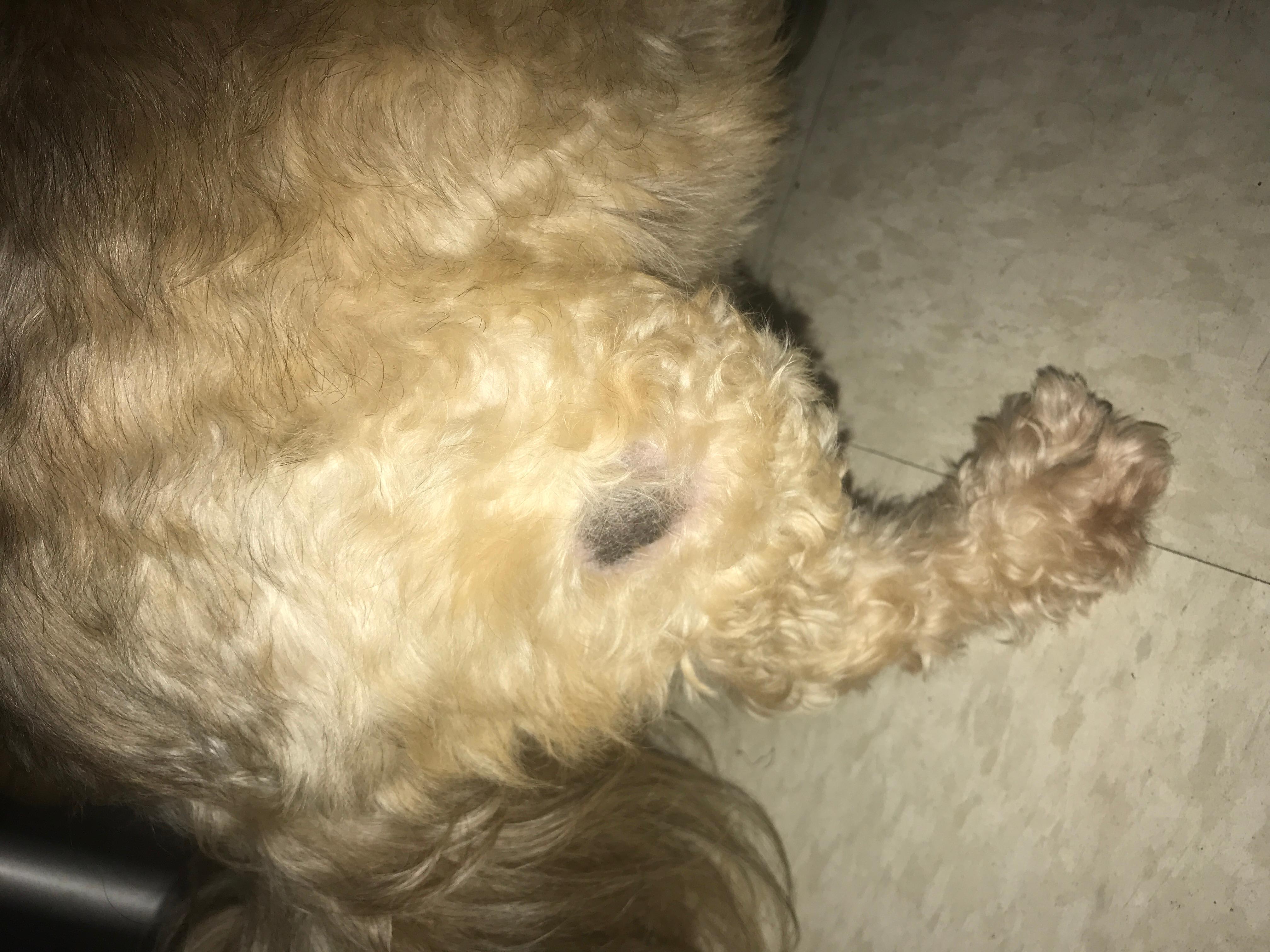 Question details sensitive content