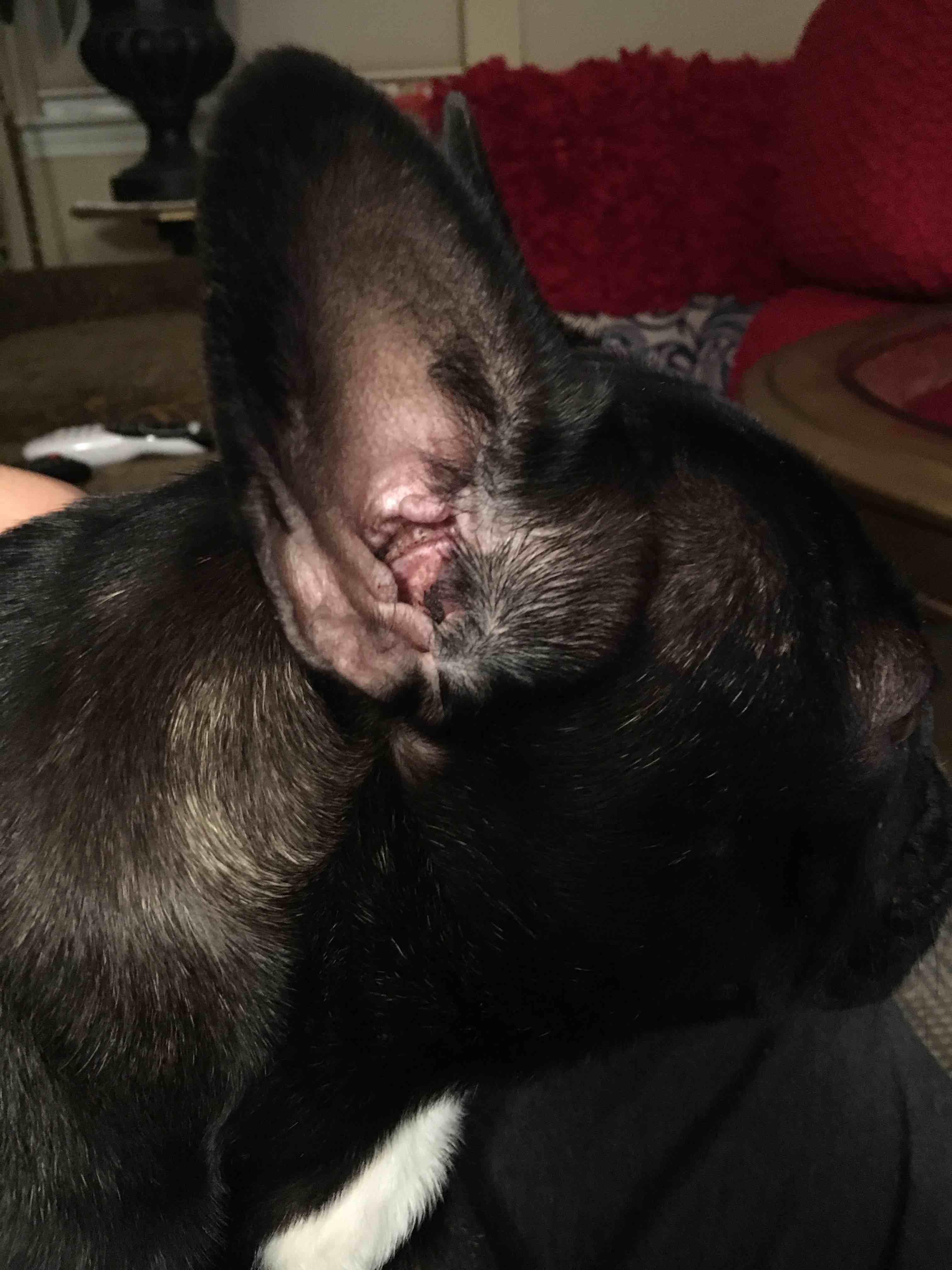 Question details sensitive content