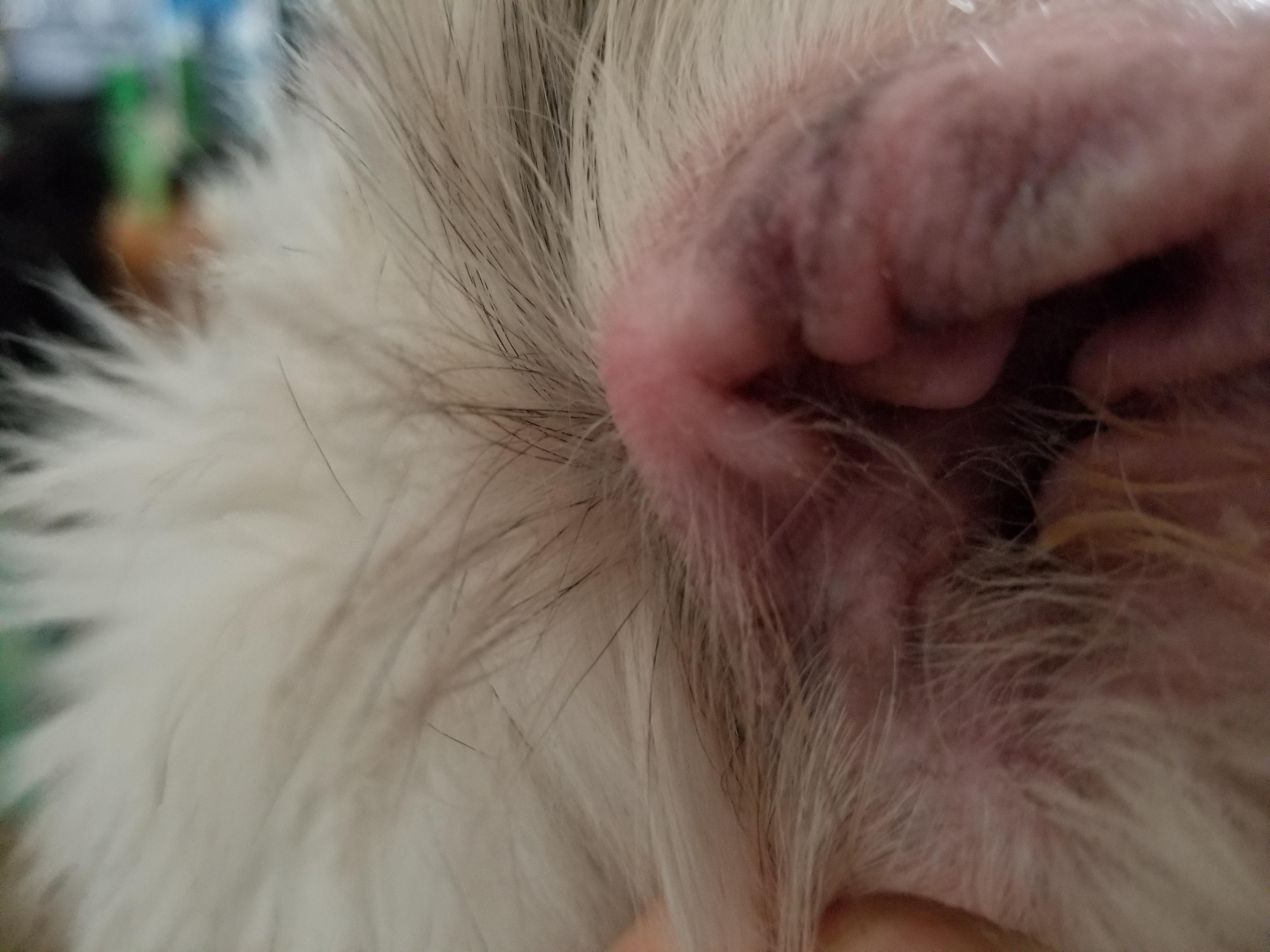 Question details sensitive content