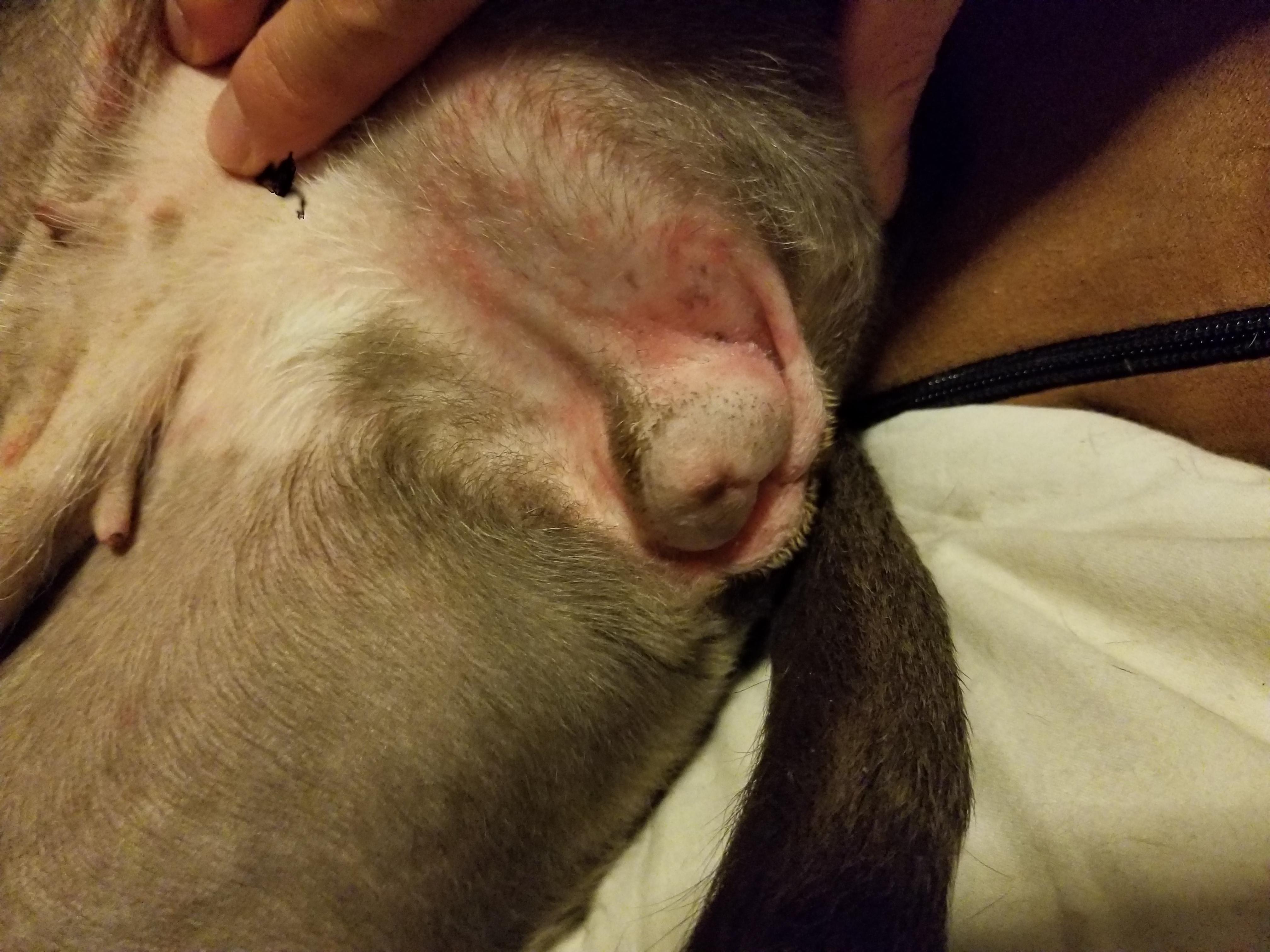 Question details sensitive content