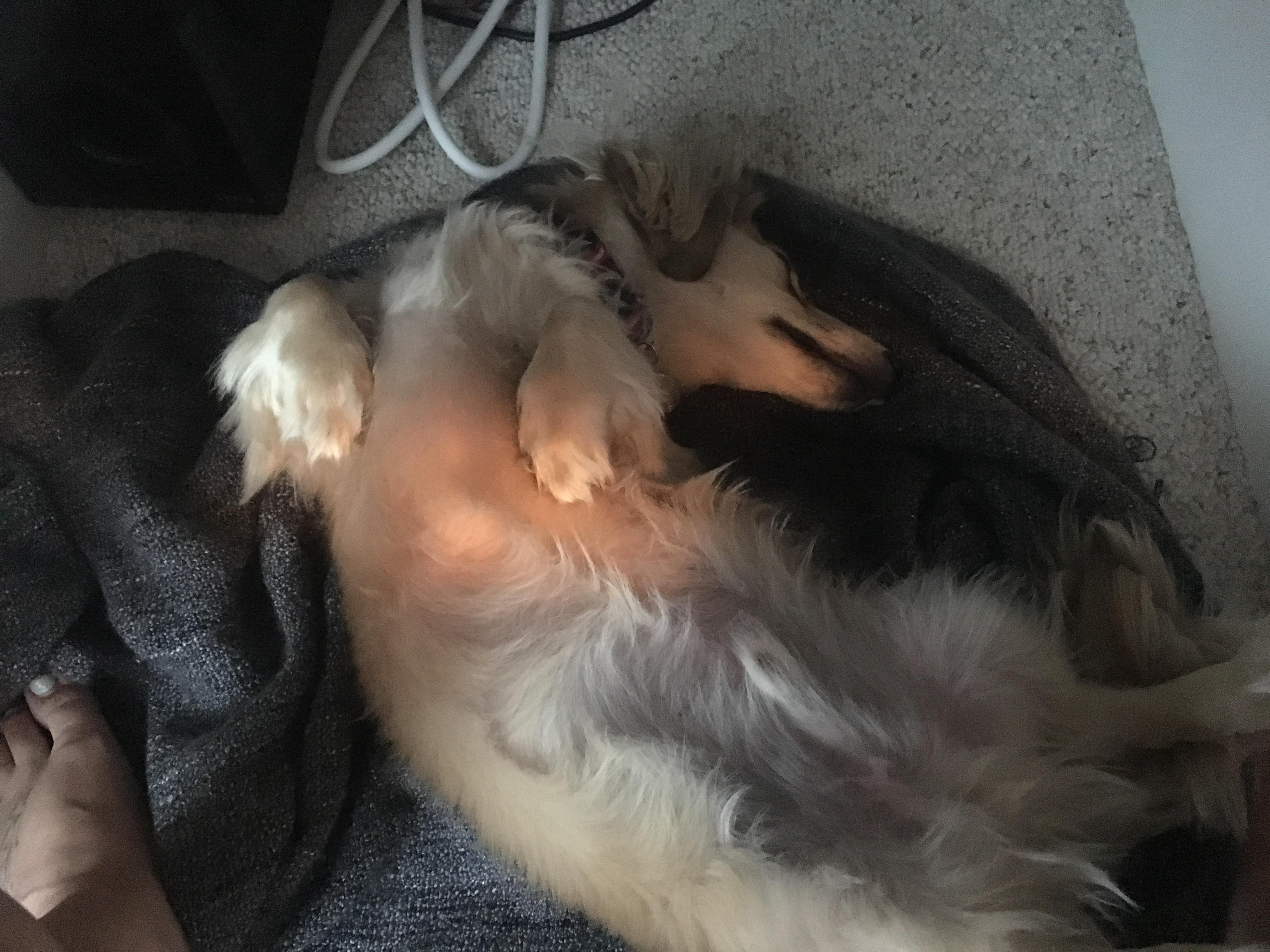 Question details sensitive content