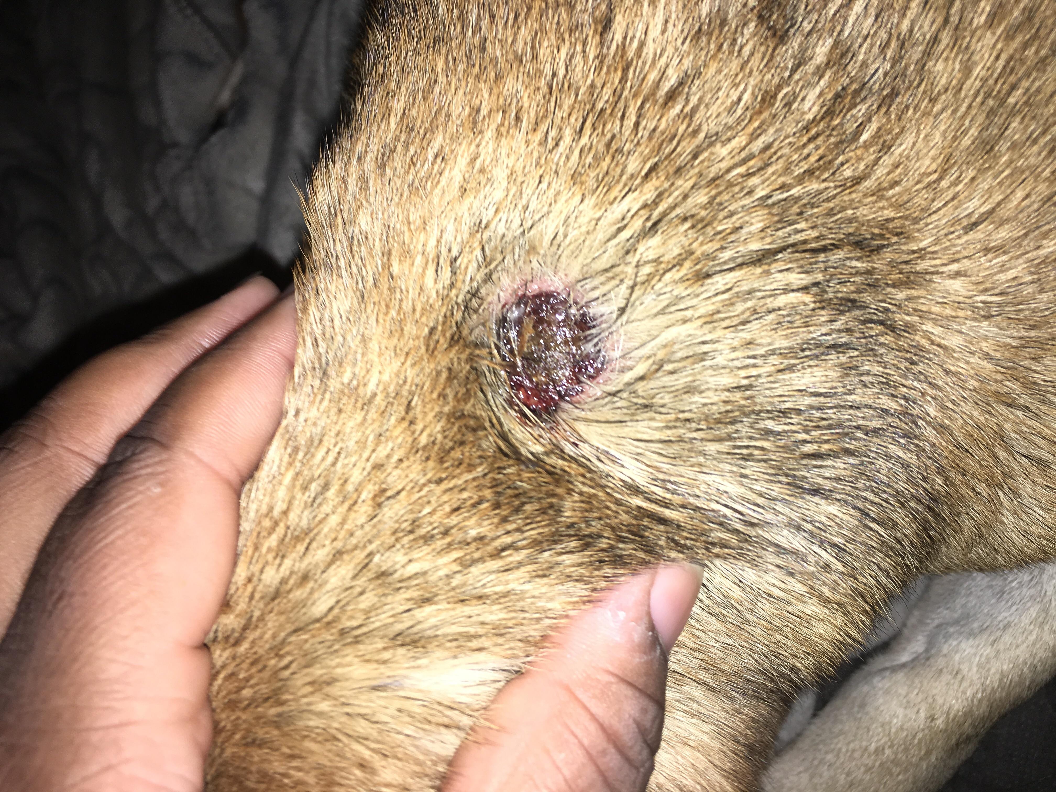 Question details sensitive content