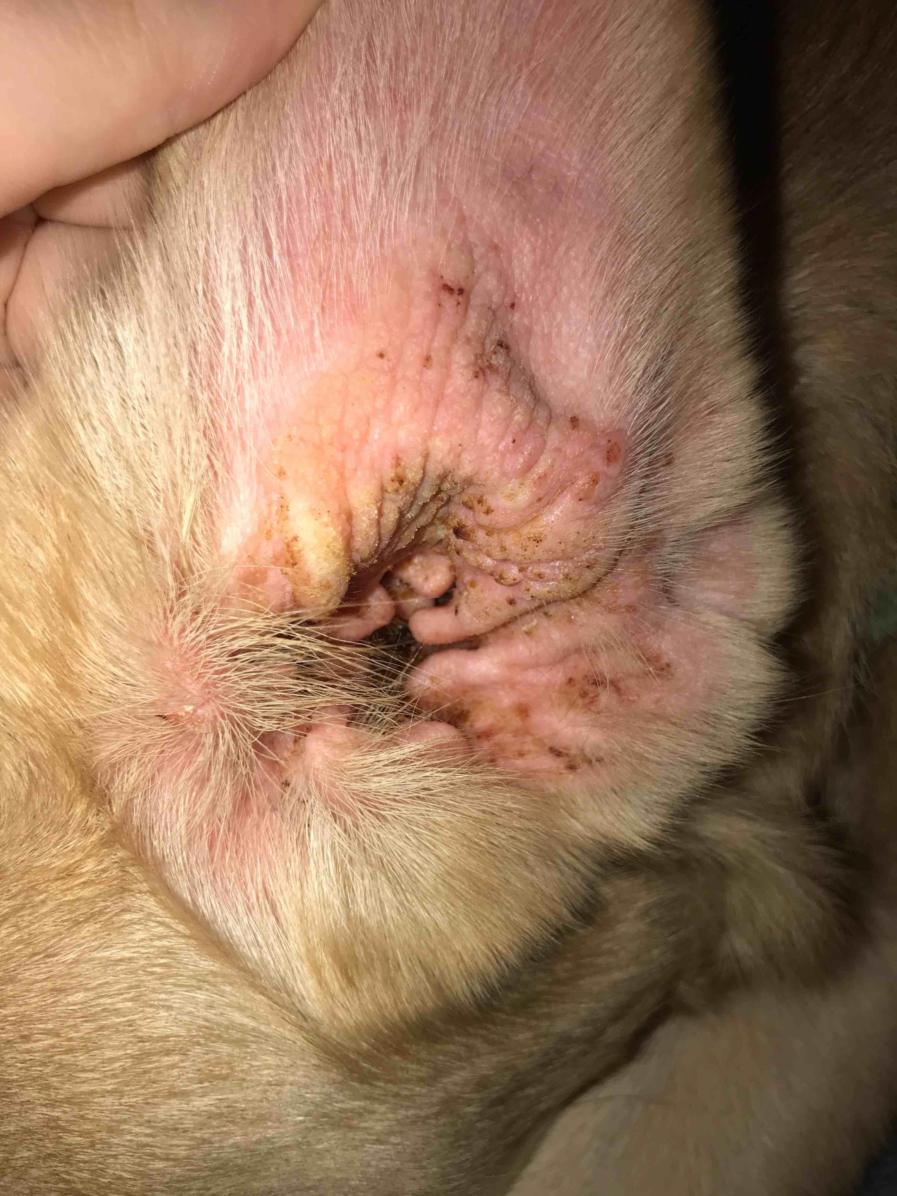 Question details sensitive content