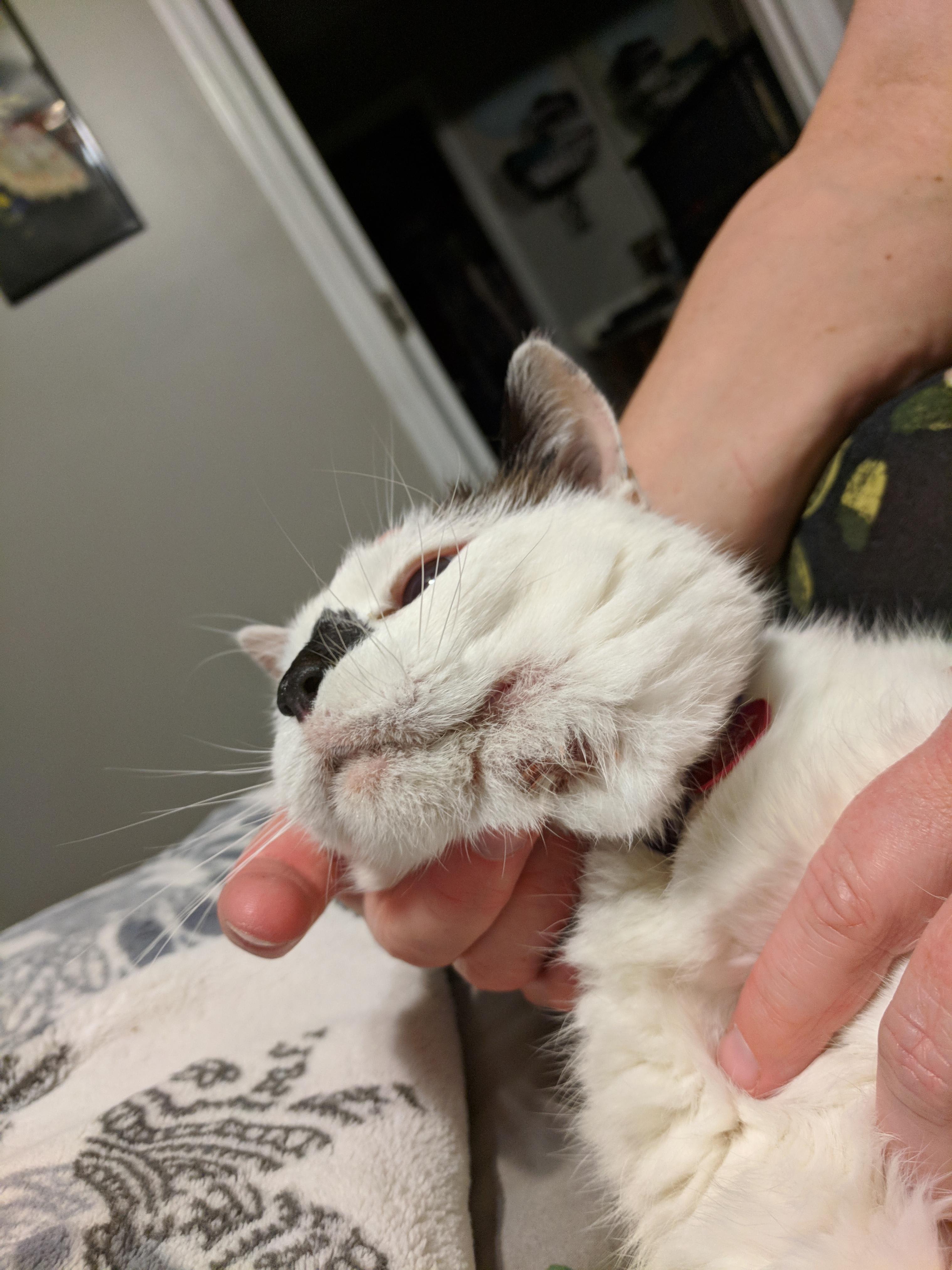 Question details sensitive content