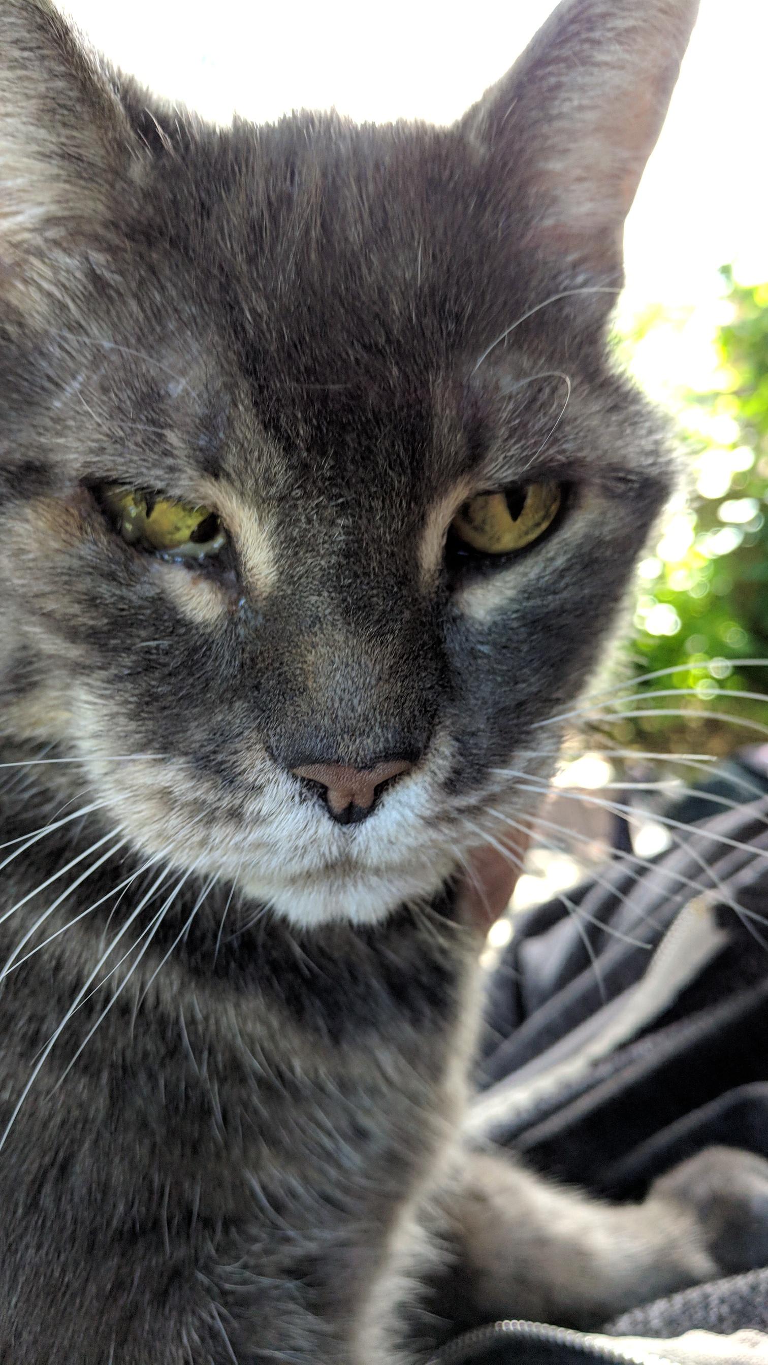 Question details sensitive content