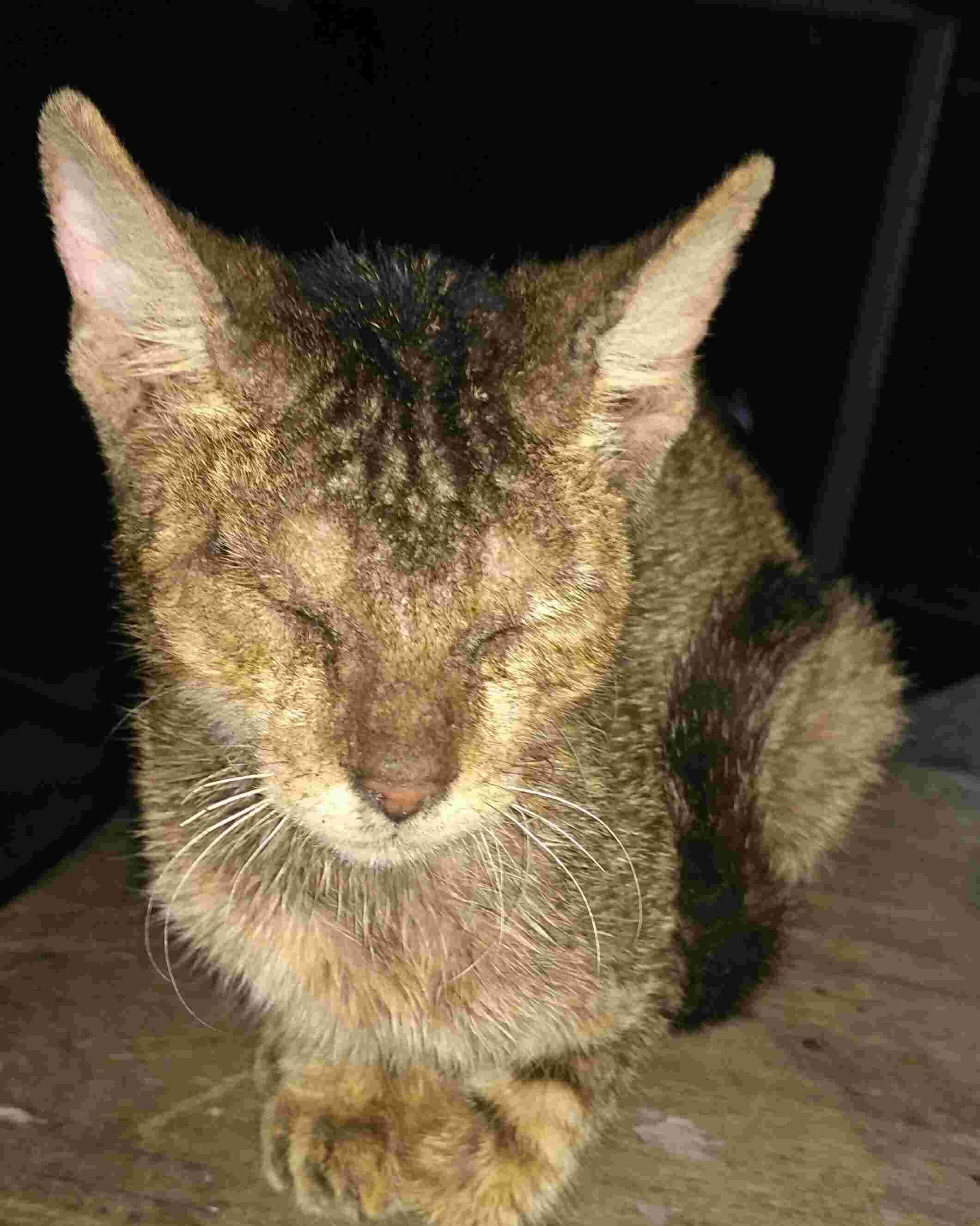 Question details sensitive content