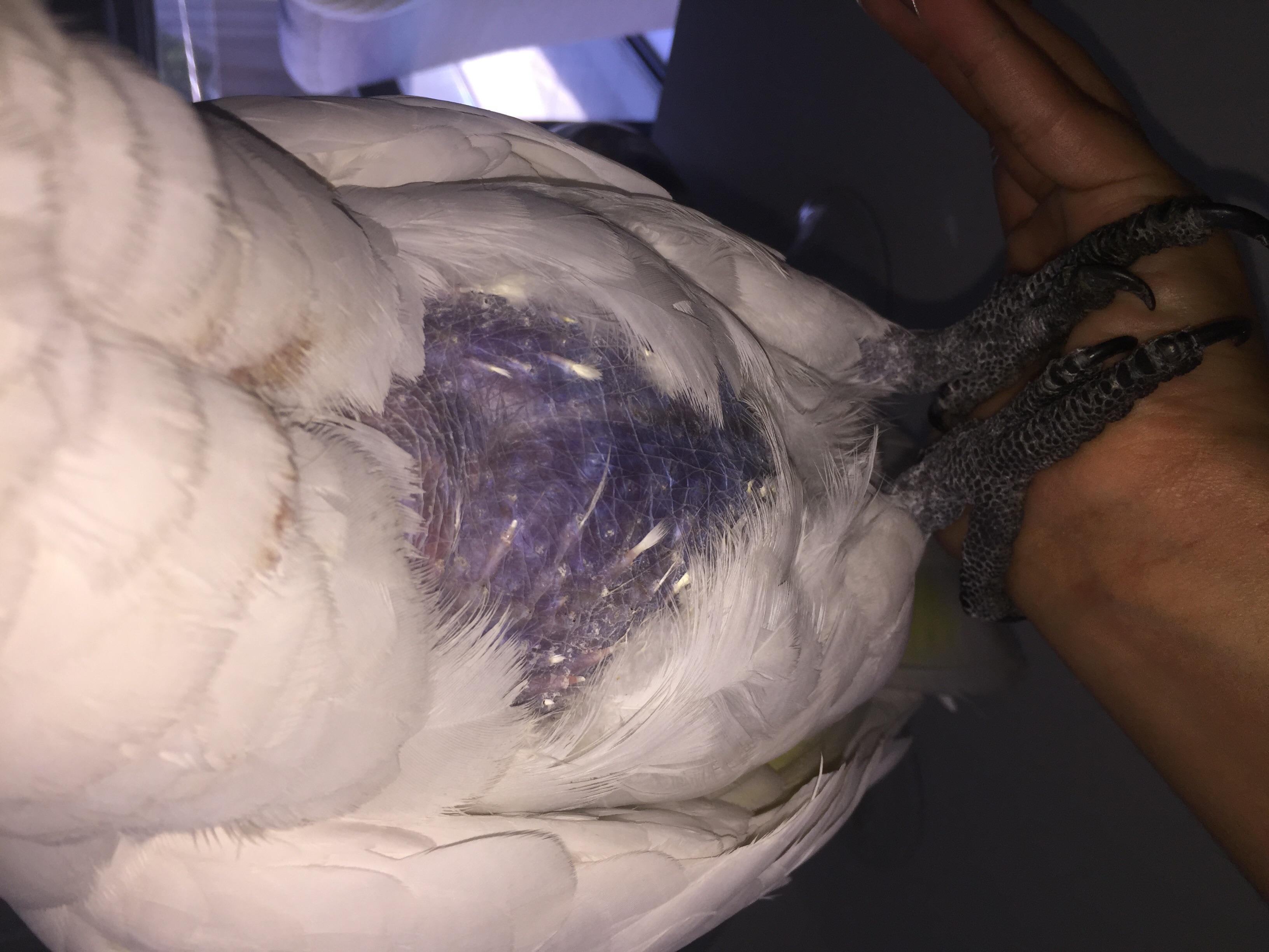 Question details sensitive content