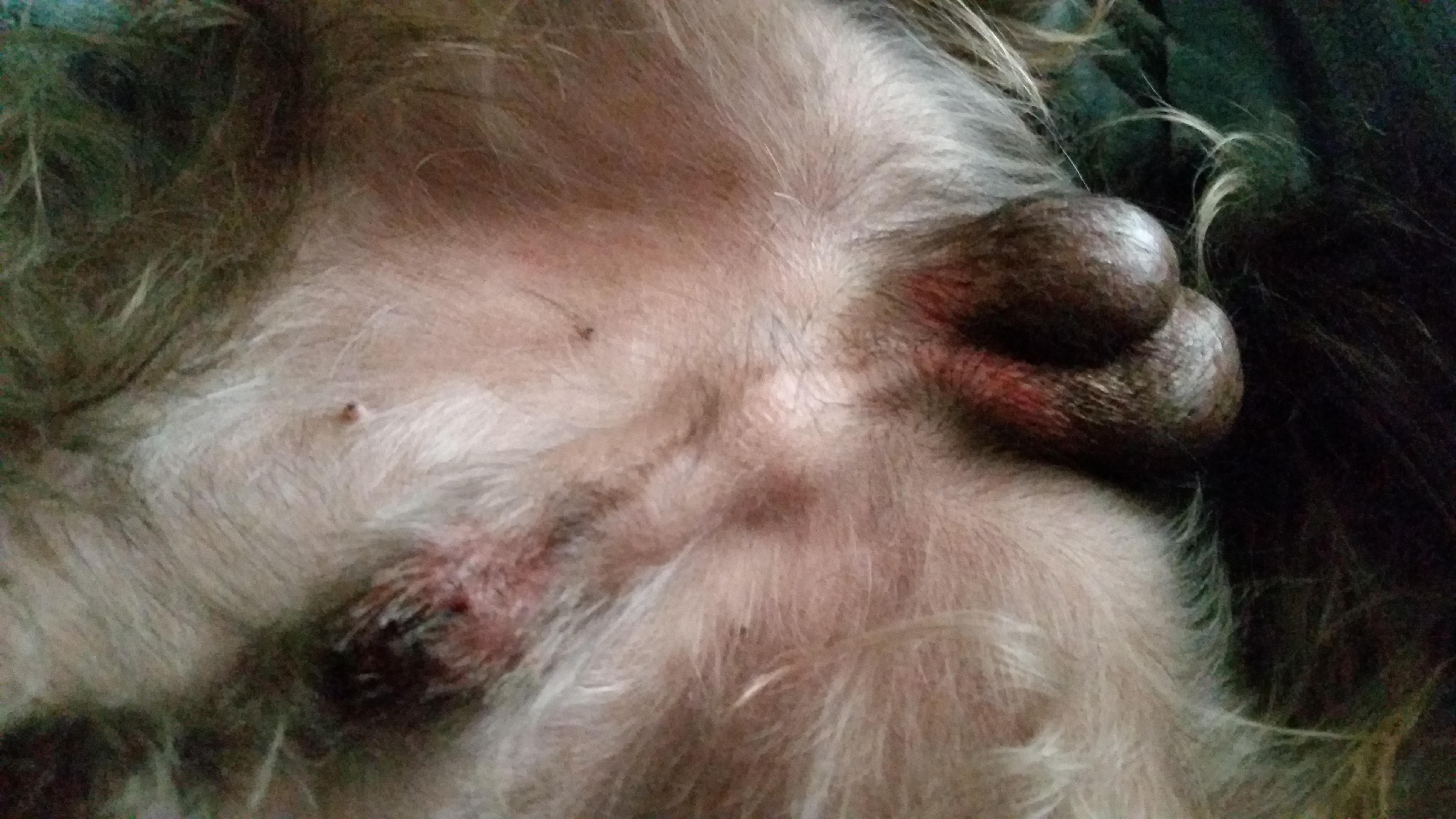 Question details sensitive content