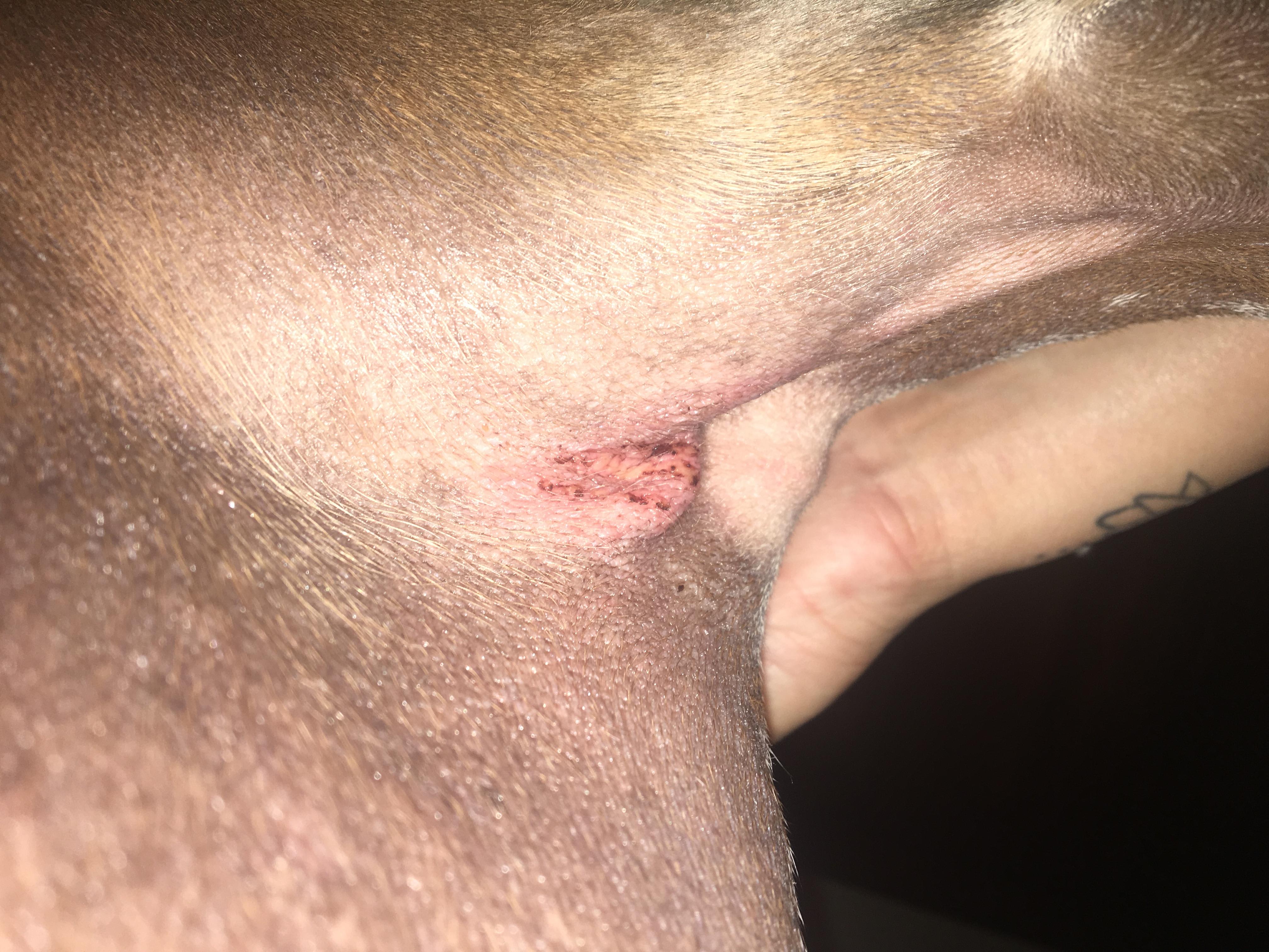 Question details sensitive content