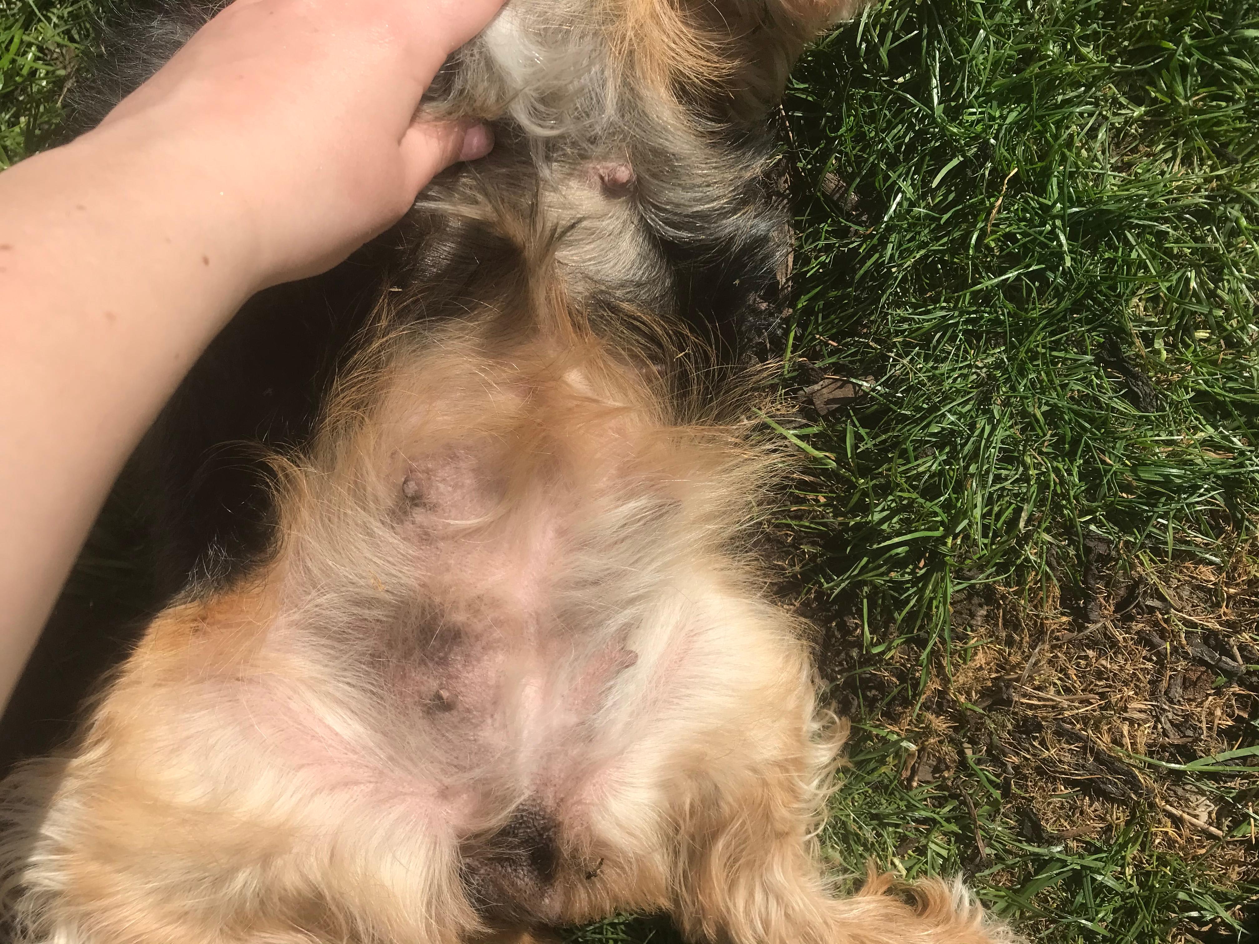 Question details sensitive content