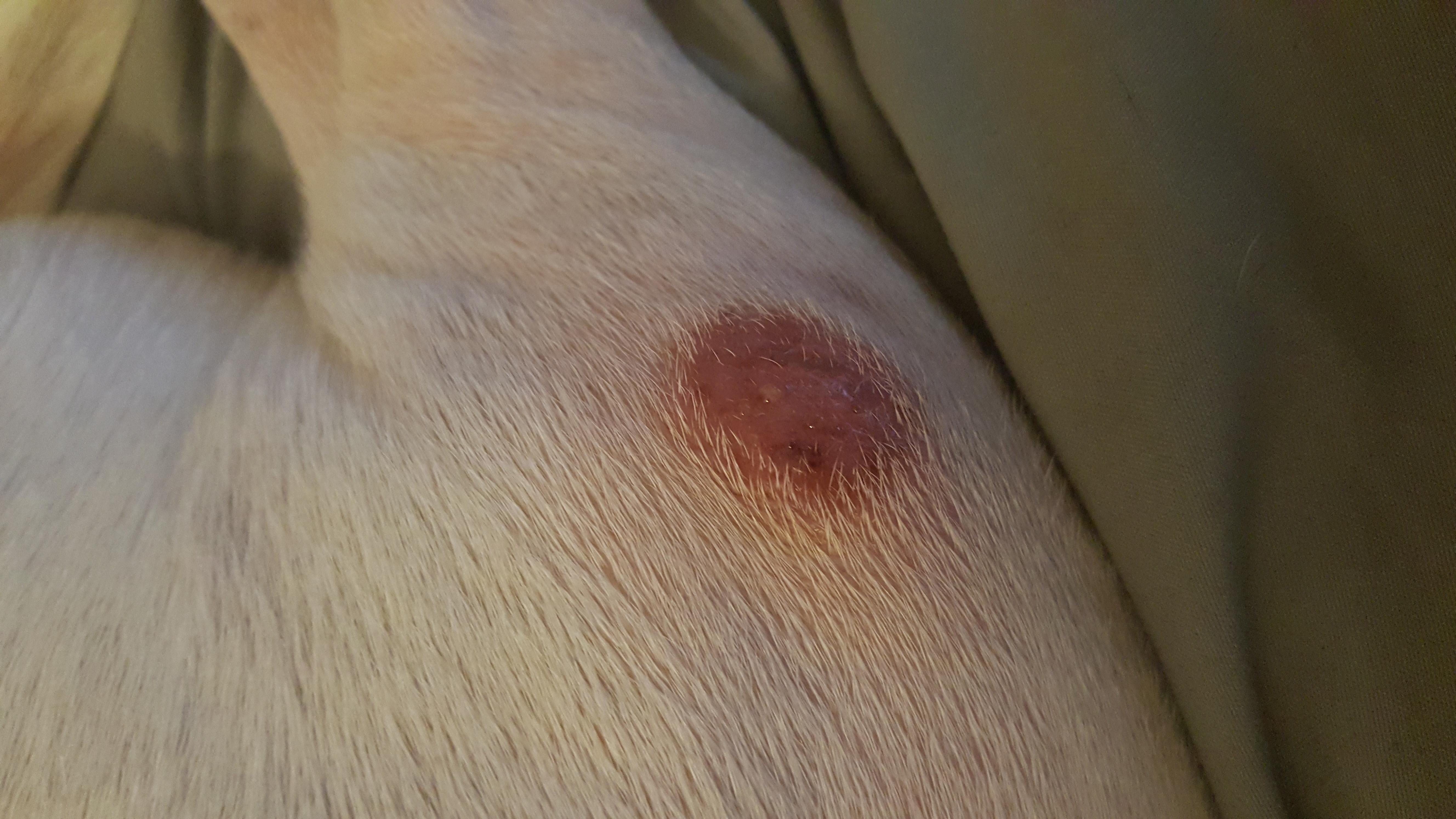 Question details sensitive content