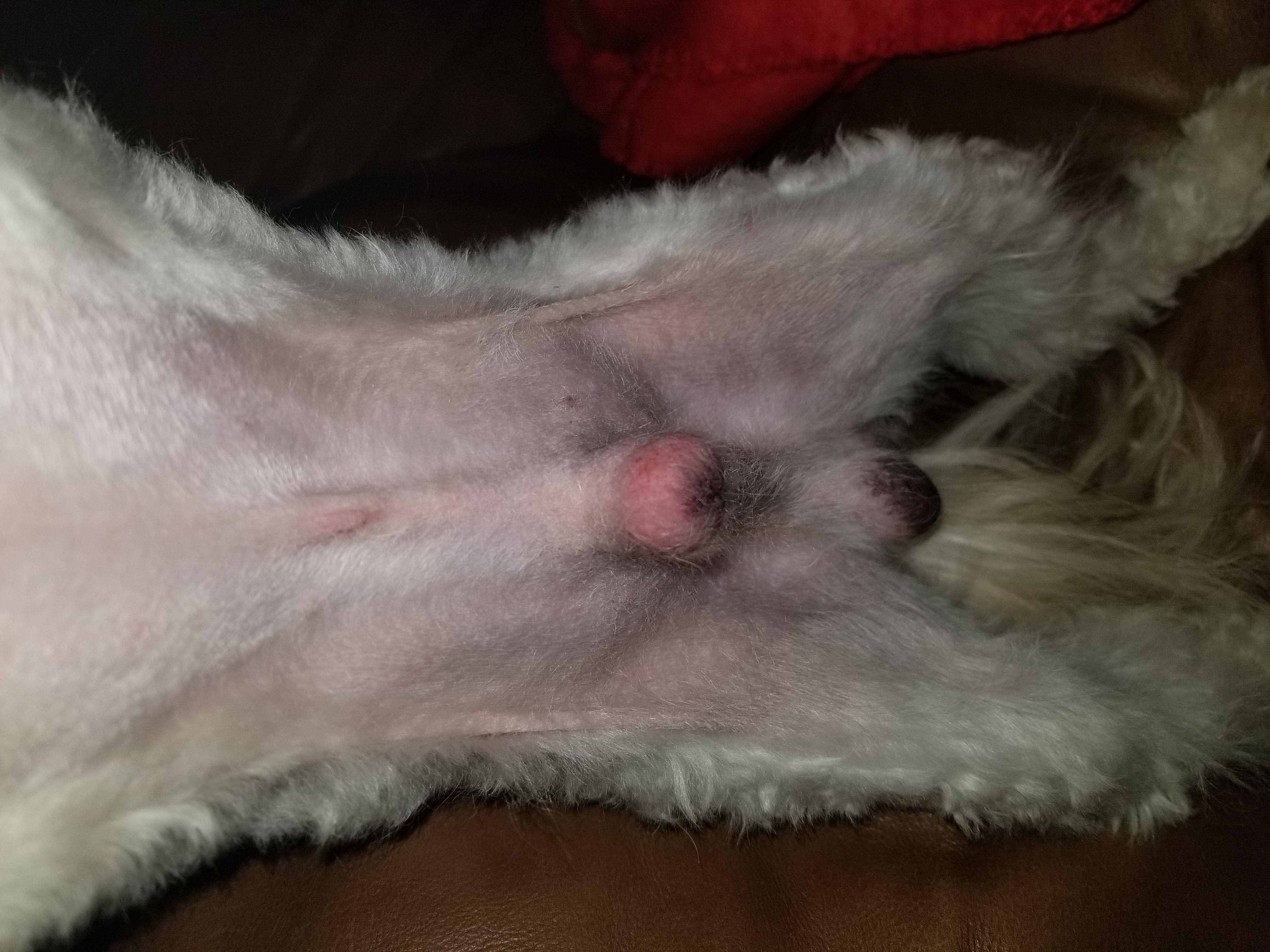 Question details sensitive content