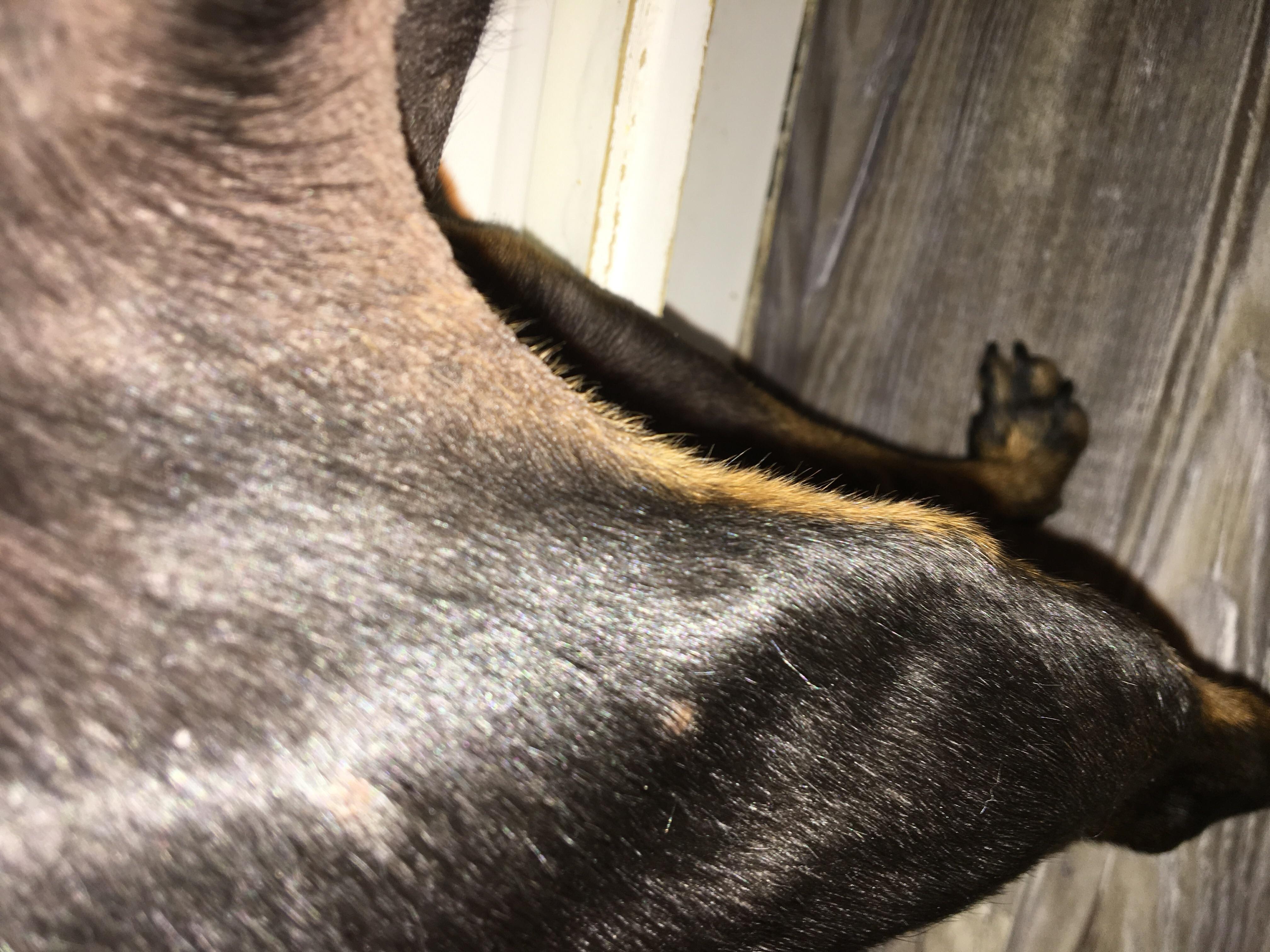 Question details sensitive content