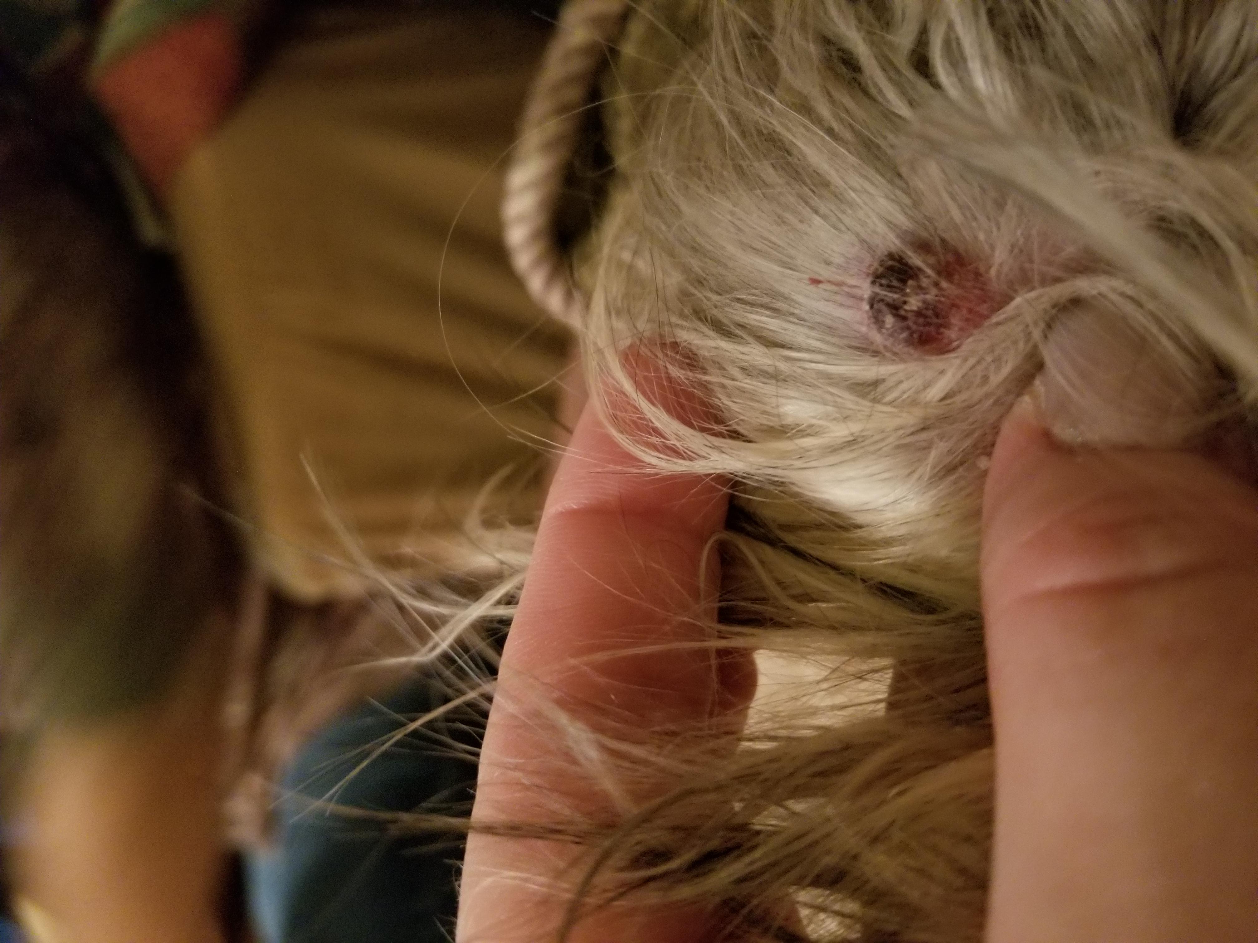 Question details sensitive content