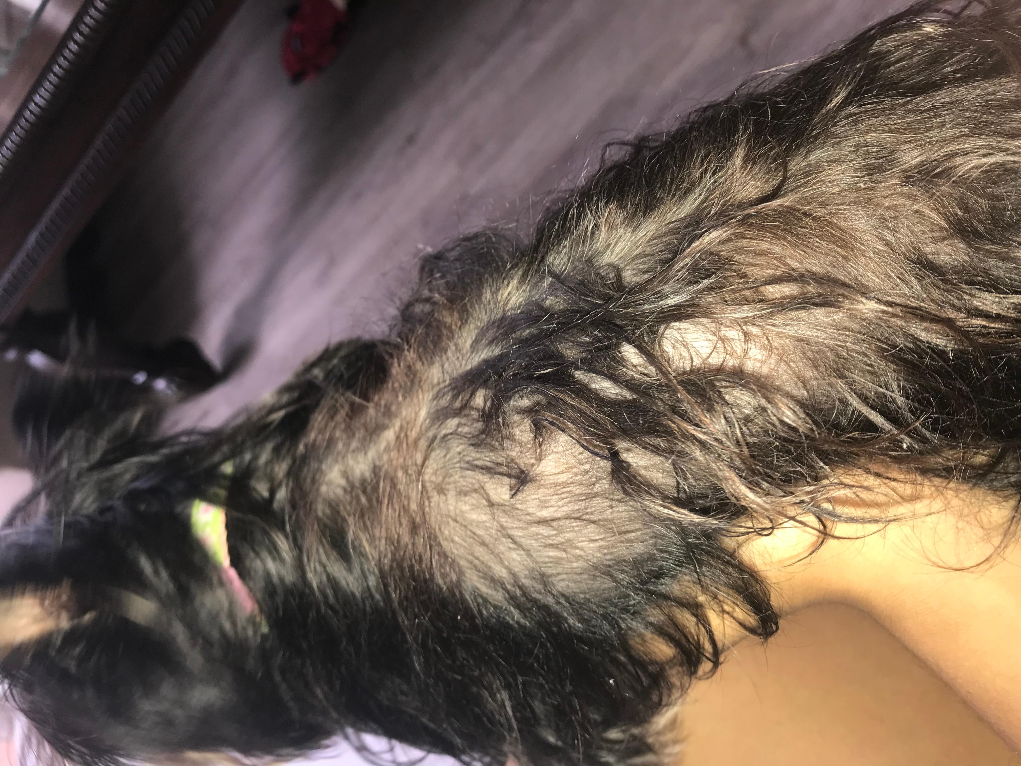 Question details sensitive content