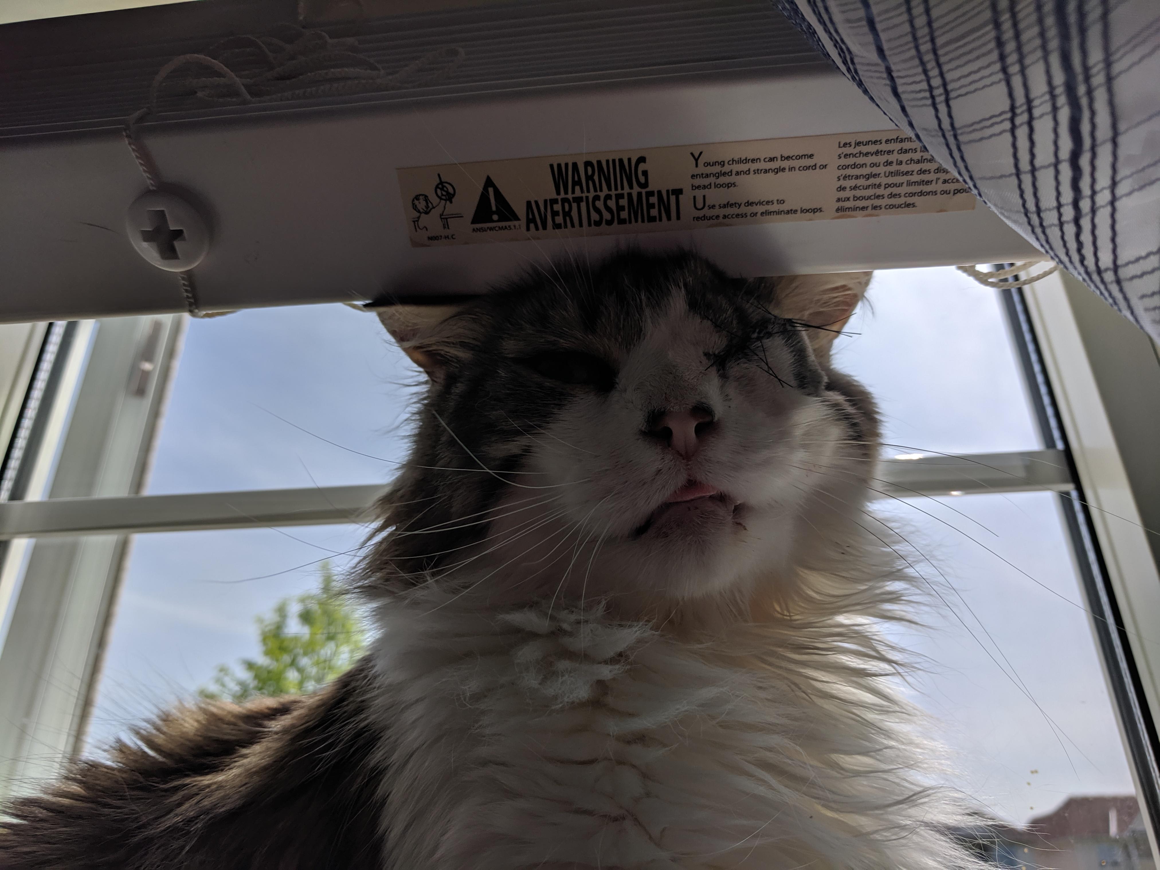 Question details sensitive content