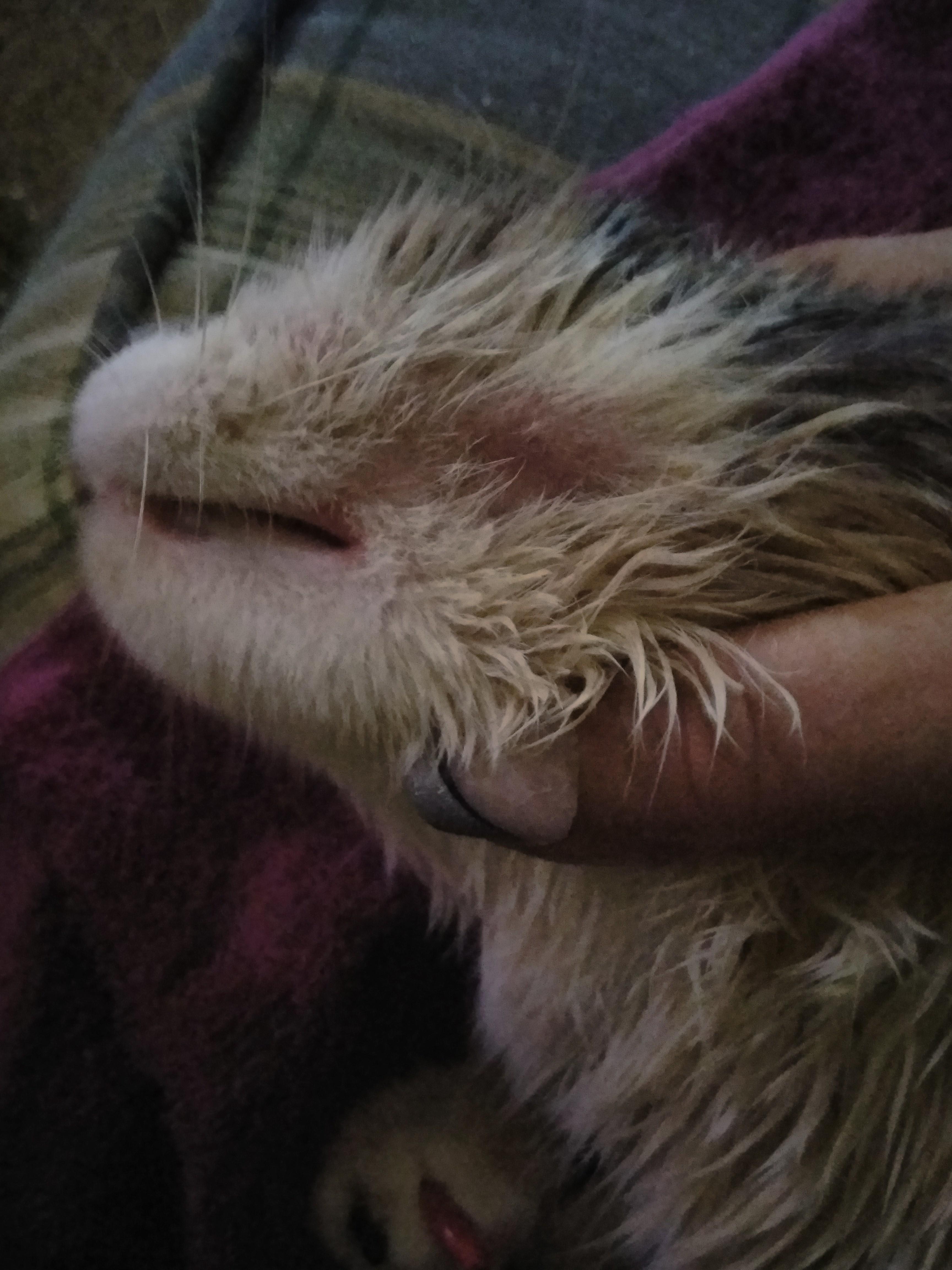 Question details sensitive content