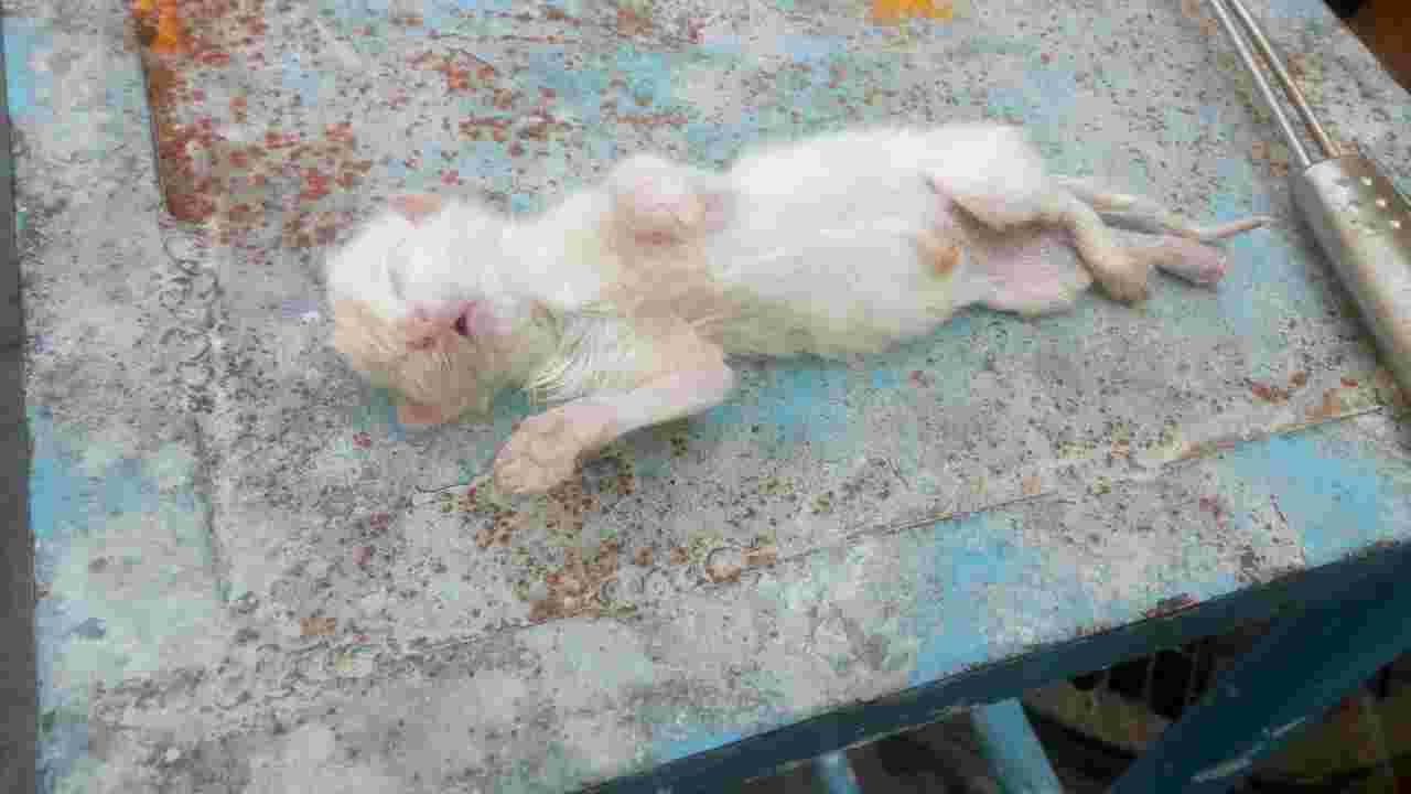 Question details sensitive content