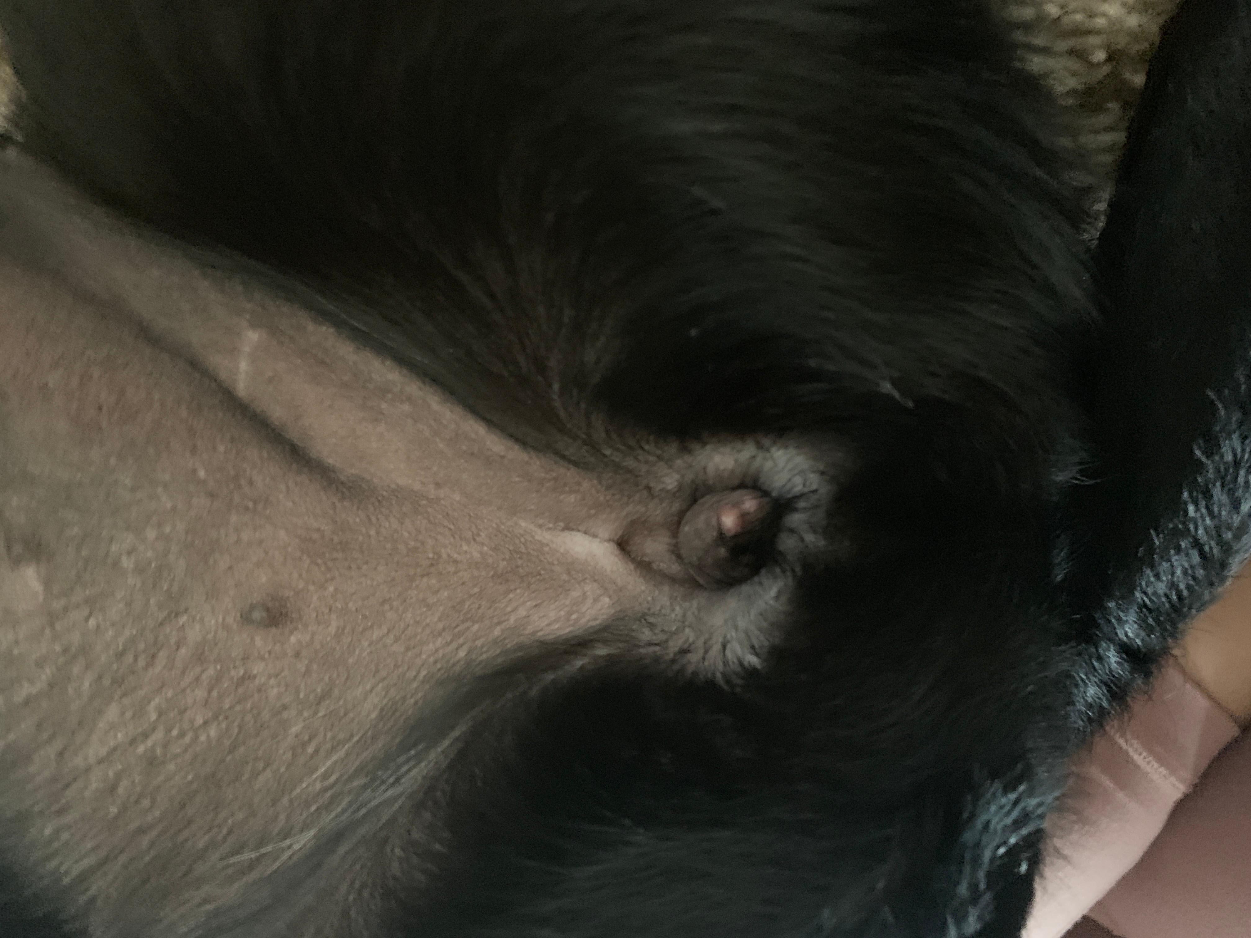 Question details sensitive content