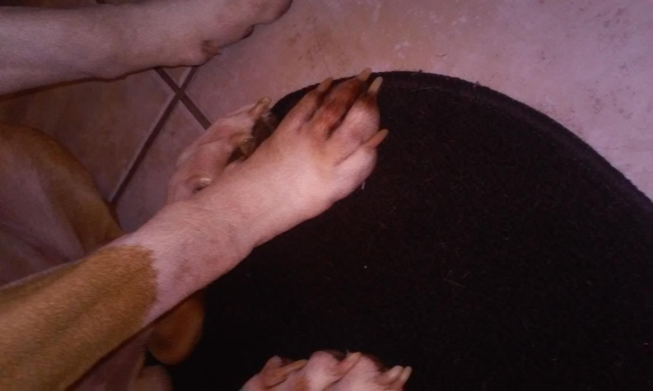 Question details sensitive content