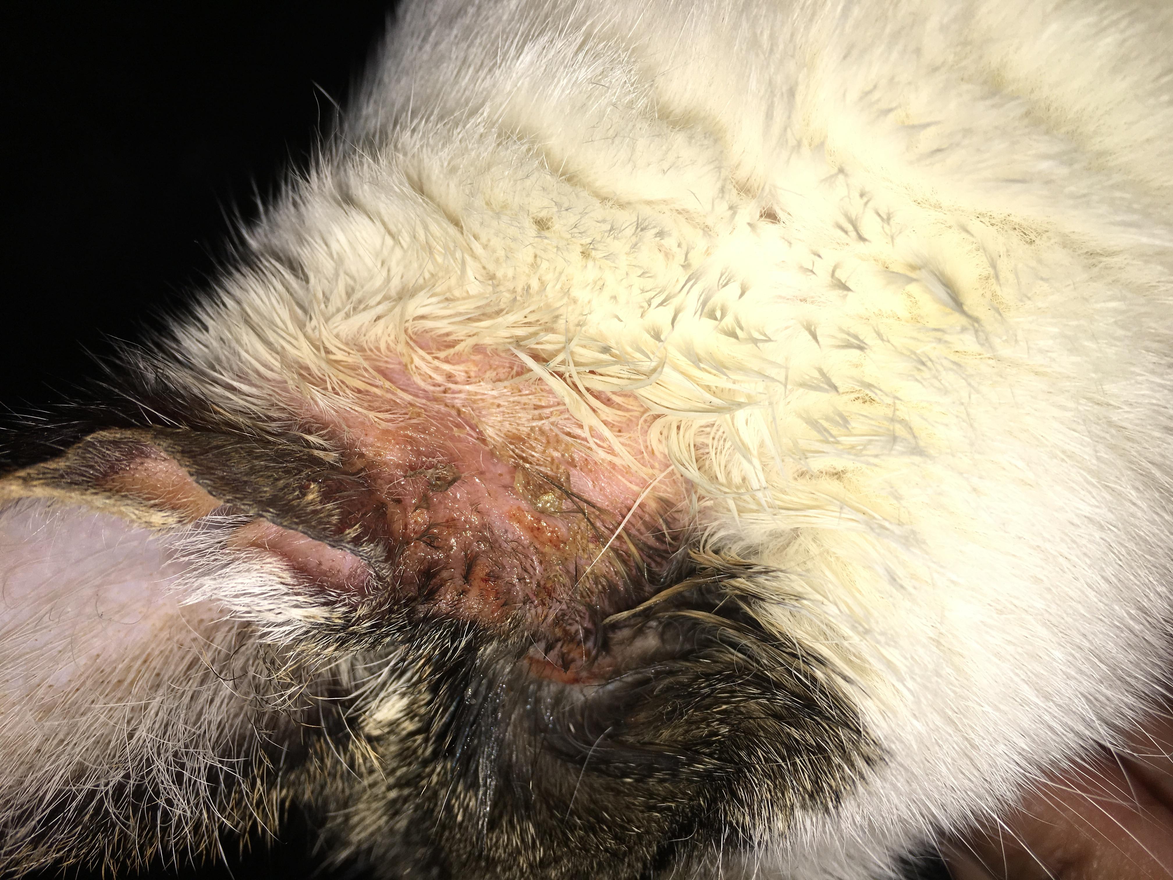 Question details sensitive content