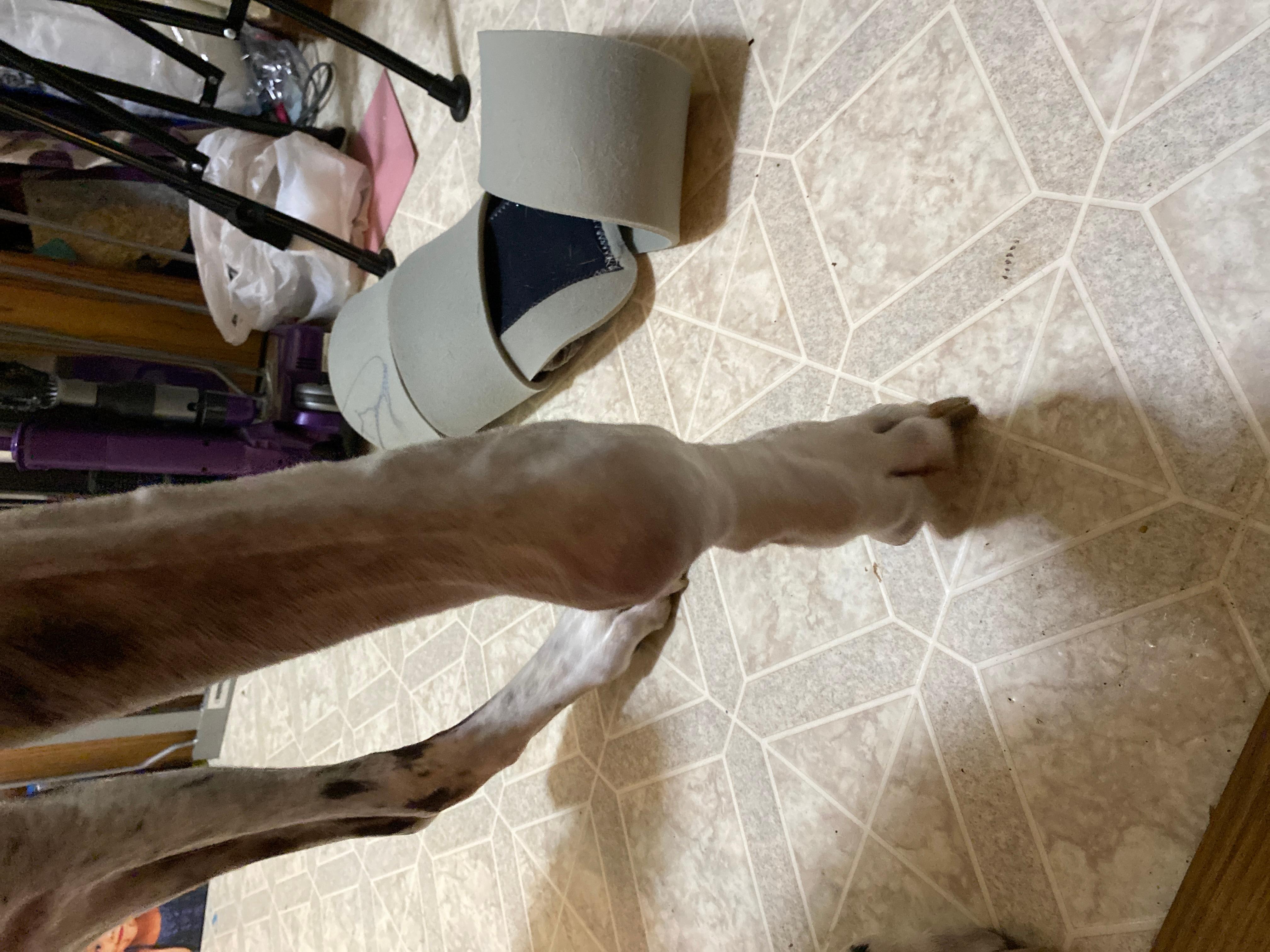 Question details sensitive content